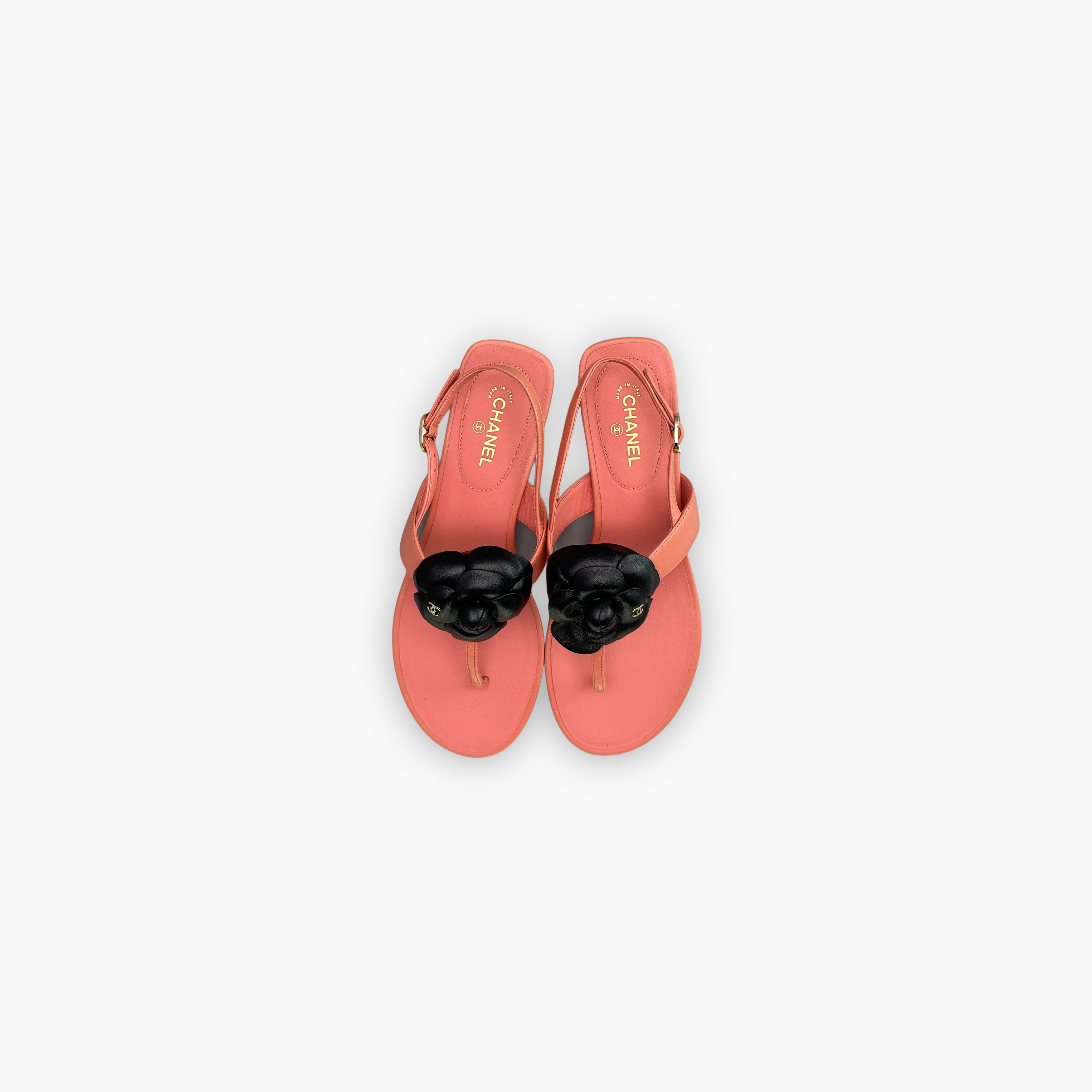 Chanel CHANEL Camellia Leather Thong Sandals Size 36.5 Size US 6.5 / IT 36.5 - 9 Thumbnail
