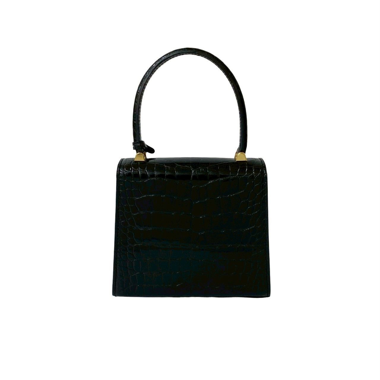 Louis Vuitton Louis Vuitton Louis Vuitton Mini Mallette Crocodile Handbag Leather Handbag DUTY FREE for USA Size ONE SIZE - 4 Thumbnail