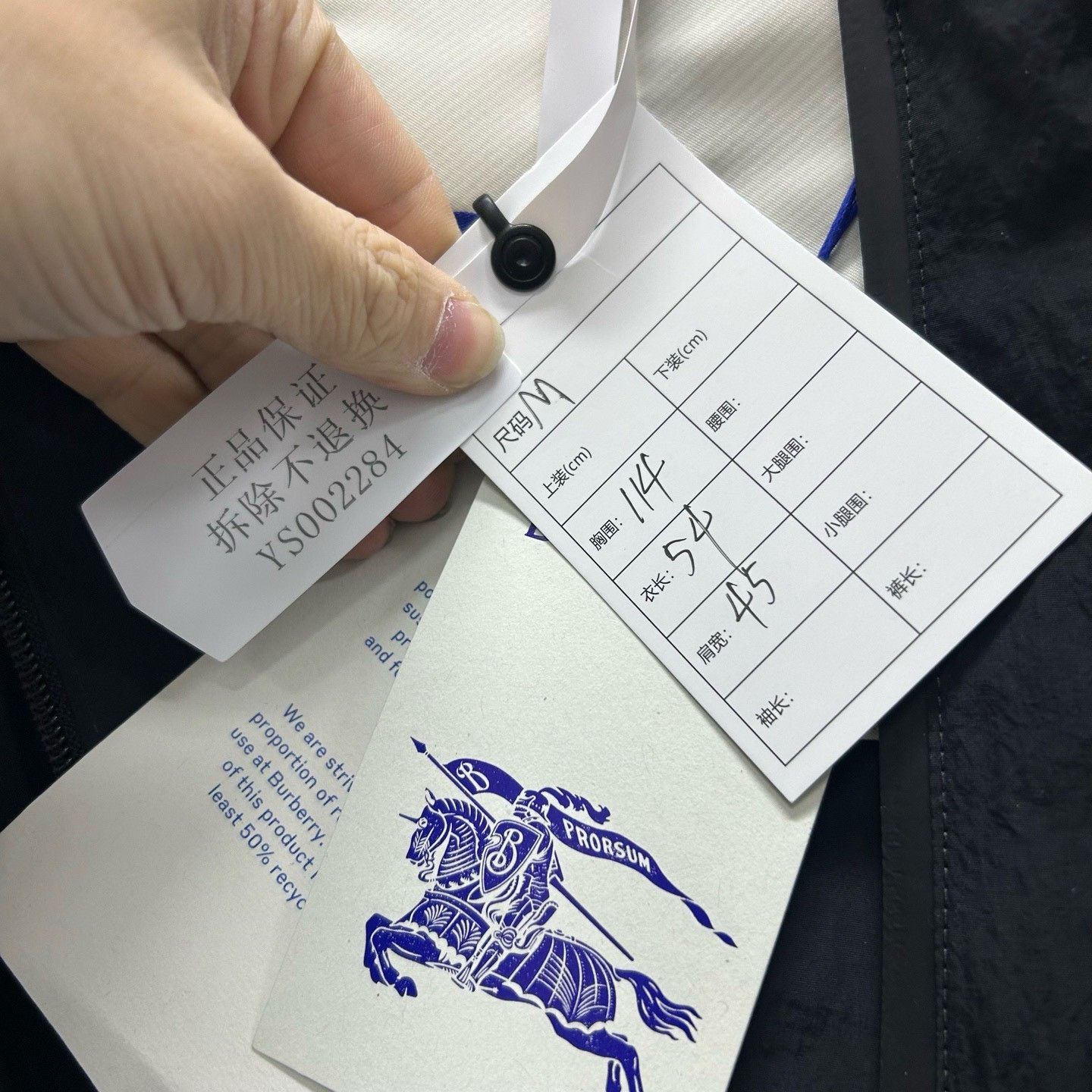 Burberry Burberry Blue Logo Hooded Light Jacket M Size US M / EU 48-50 / 2 - 6 Thumbnail