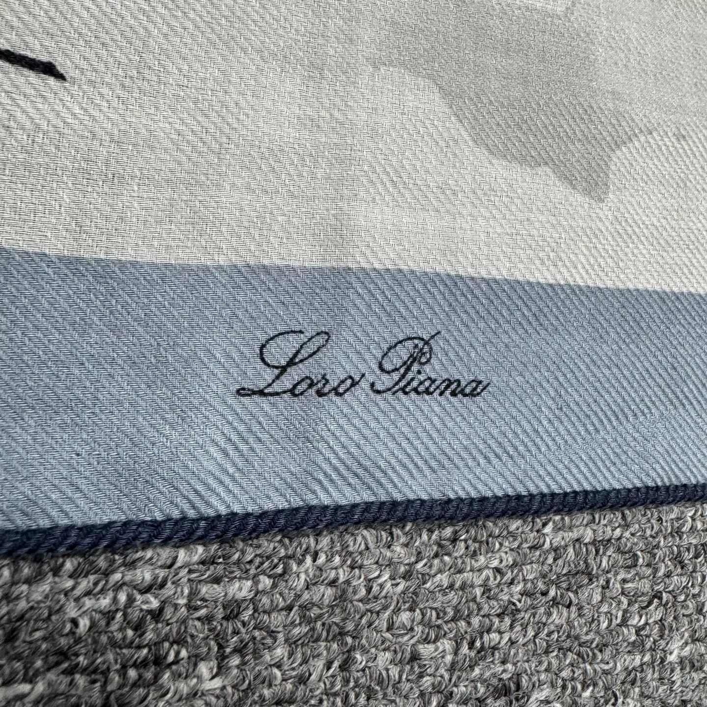 Loro Piana Loro Piana Paris Doodle Print Cashmere Silk Scarf Size ONE SIZE - 4 Thumbnail