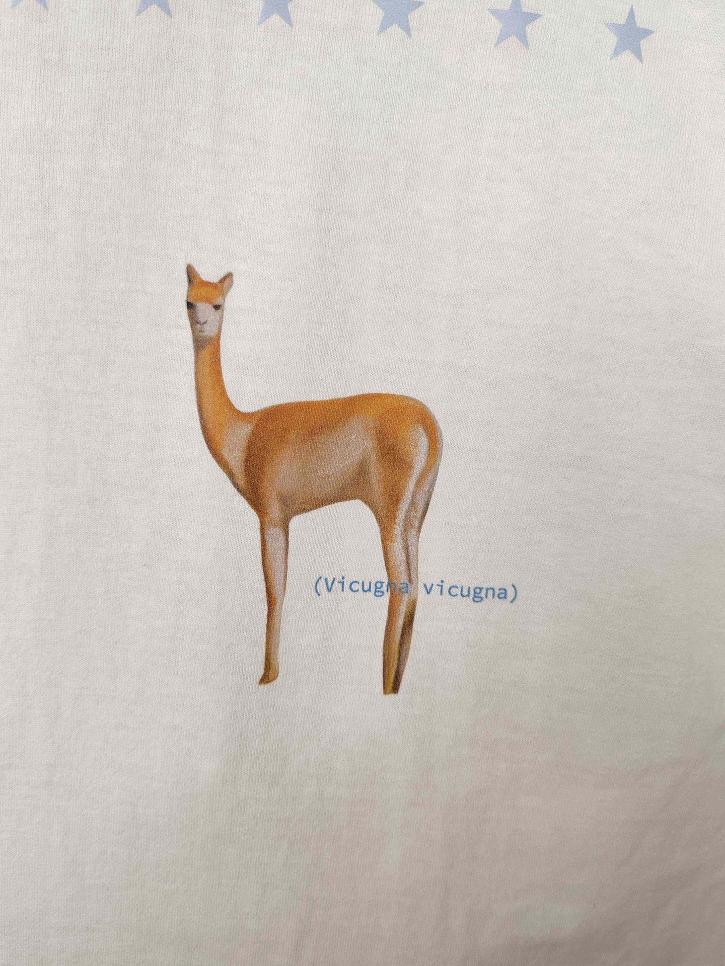 Loro Piana Loro Piana x Hiroshi Fujiwara Vicuna Print T-Shirt XS Size XS / US 0-2 / IT 36-38 - 5 Thumbnail