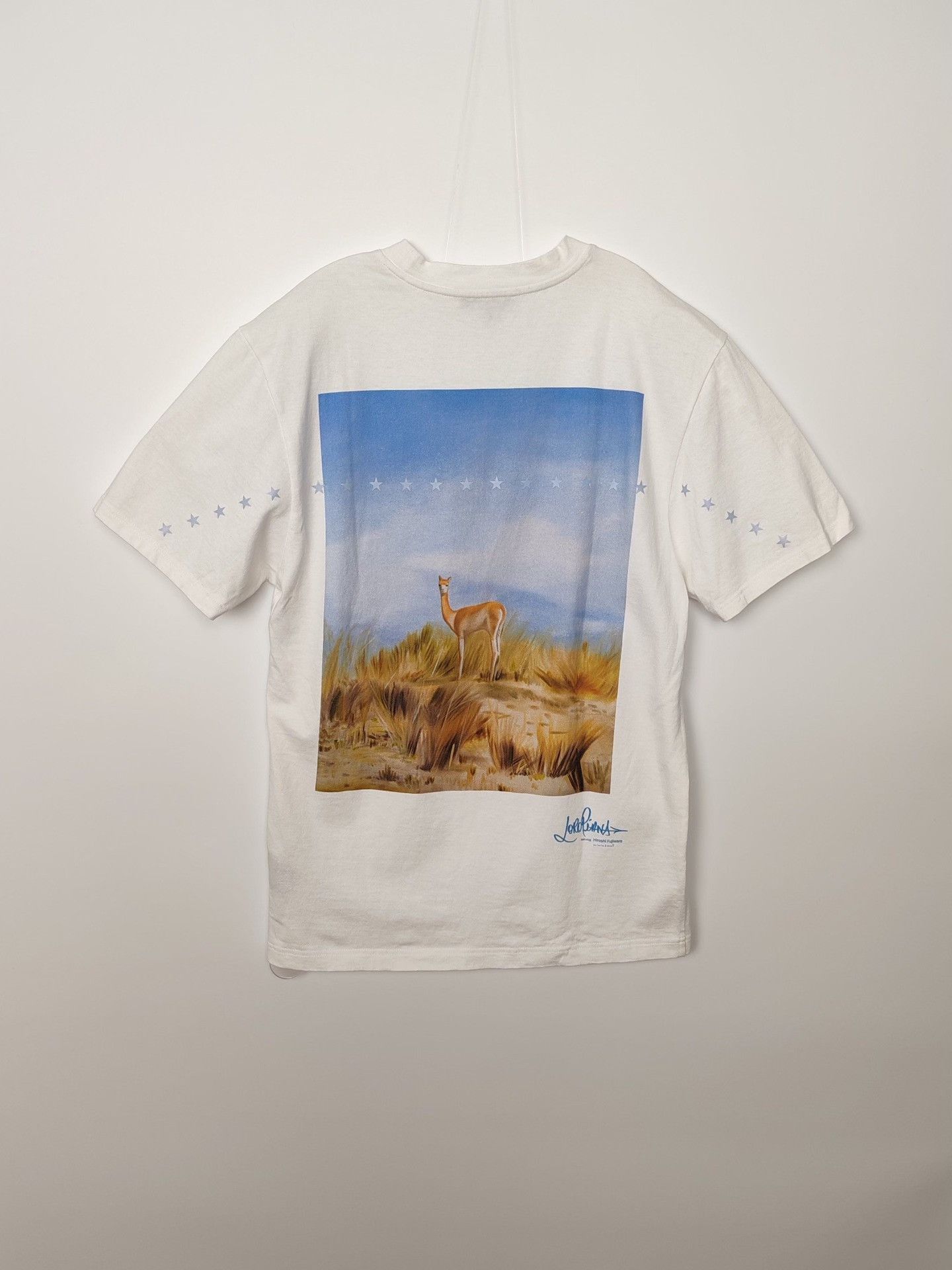 Loro Piana Loro Piana x Hiroshi Fujiwara Vicuna Print T-Shirt XS Size XS / US 0-2 / IT 36-38 - 3 Thumbnail