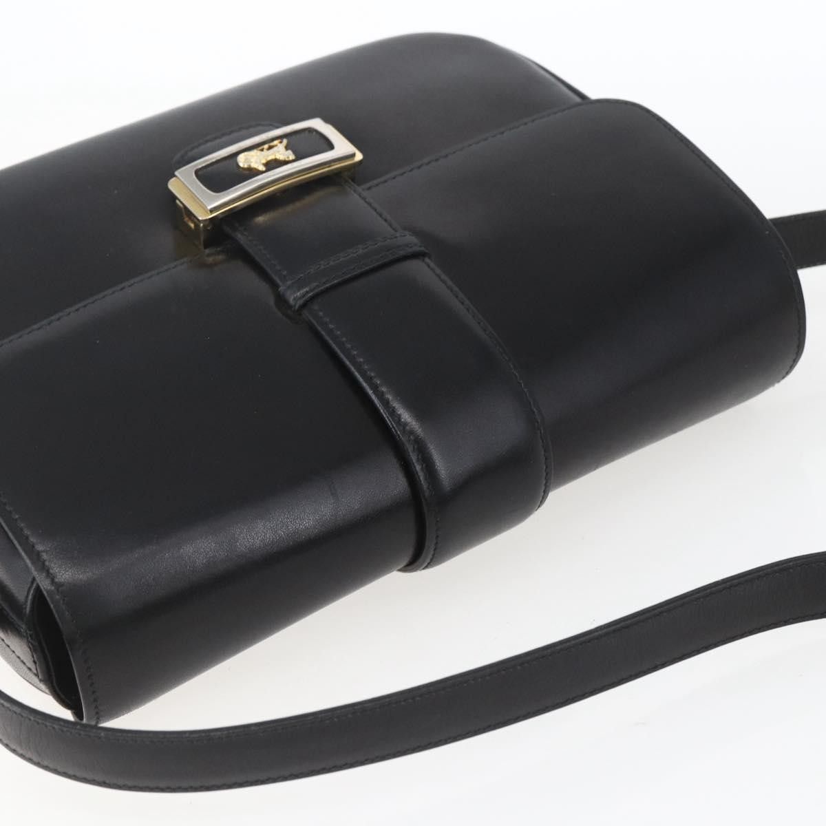 Celine Celine Horse Carriage Leather Size ONE SIZE - 18 Thumbnail