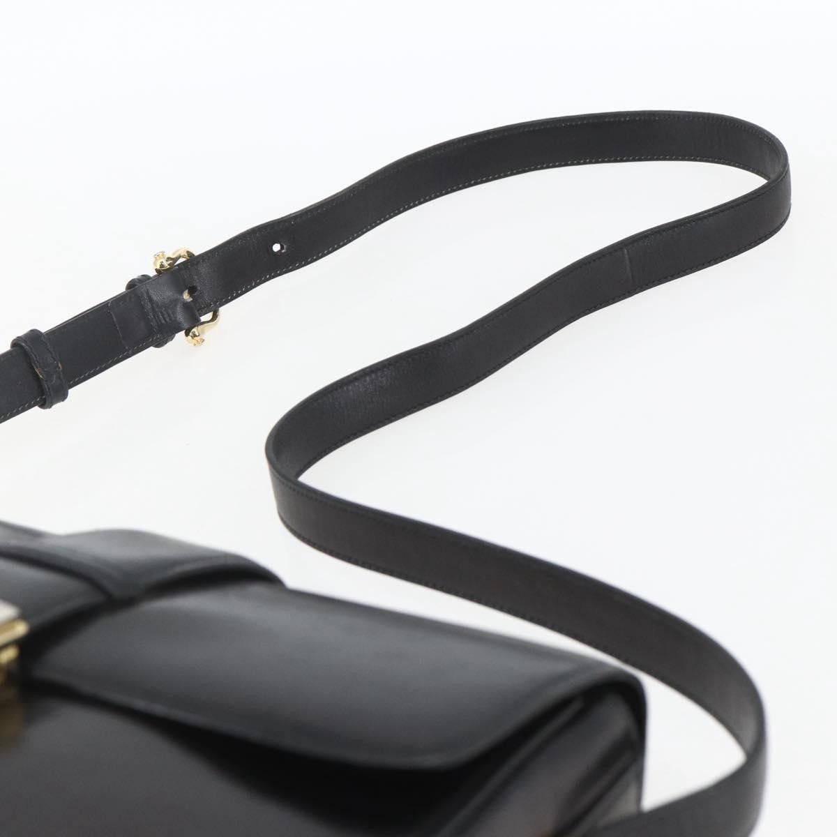 Celine Celine Horse Carriage Leather Size ONE SIZE - 19 Thumbnail
