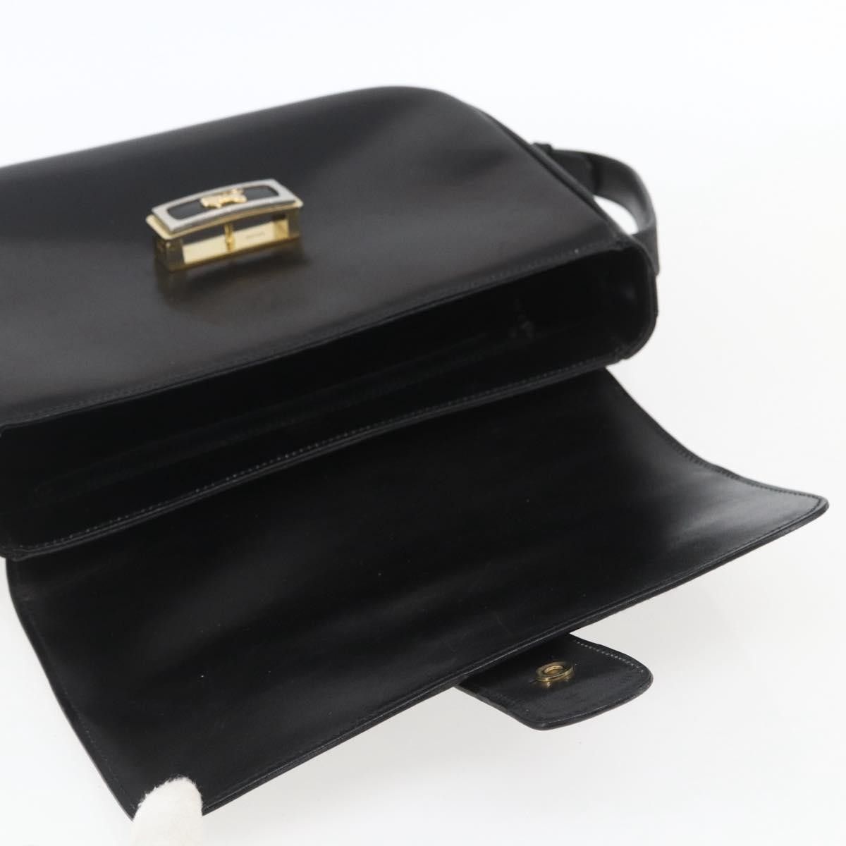 Celine Celine Horse Carriage Leather Size ONE SIZE - 16 Thumbnail