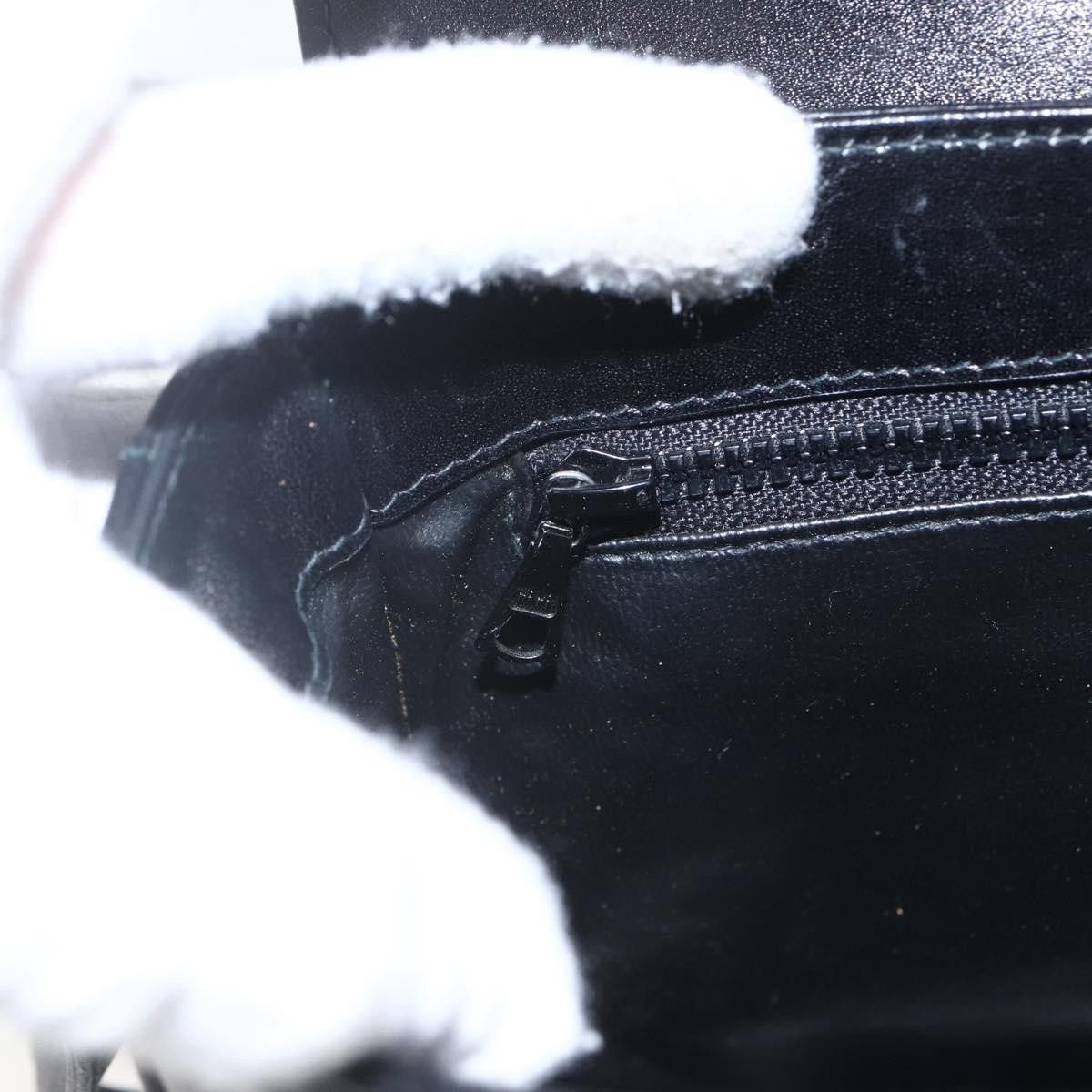 Celine Celine Horse Carriage Leather Size ONE SIZE - 15 Thumbnail