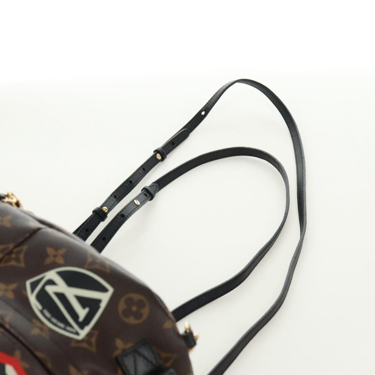 Louis Vuitton Louis Vuitton Palm Springs Backpack Limited Edition World Tour Monogram Canvas Size ONE SIZE - 21 Thumbnail