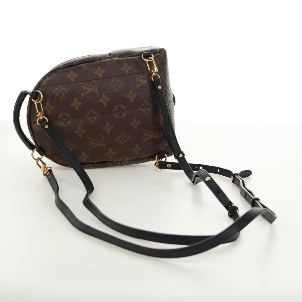 Louis Vuitton Louis Vuitton Palm Springs Backpack Limited Edition World Tour Monogram Canvas Size ONE SIZE - 15 Thumbnail