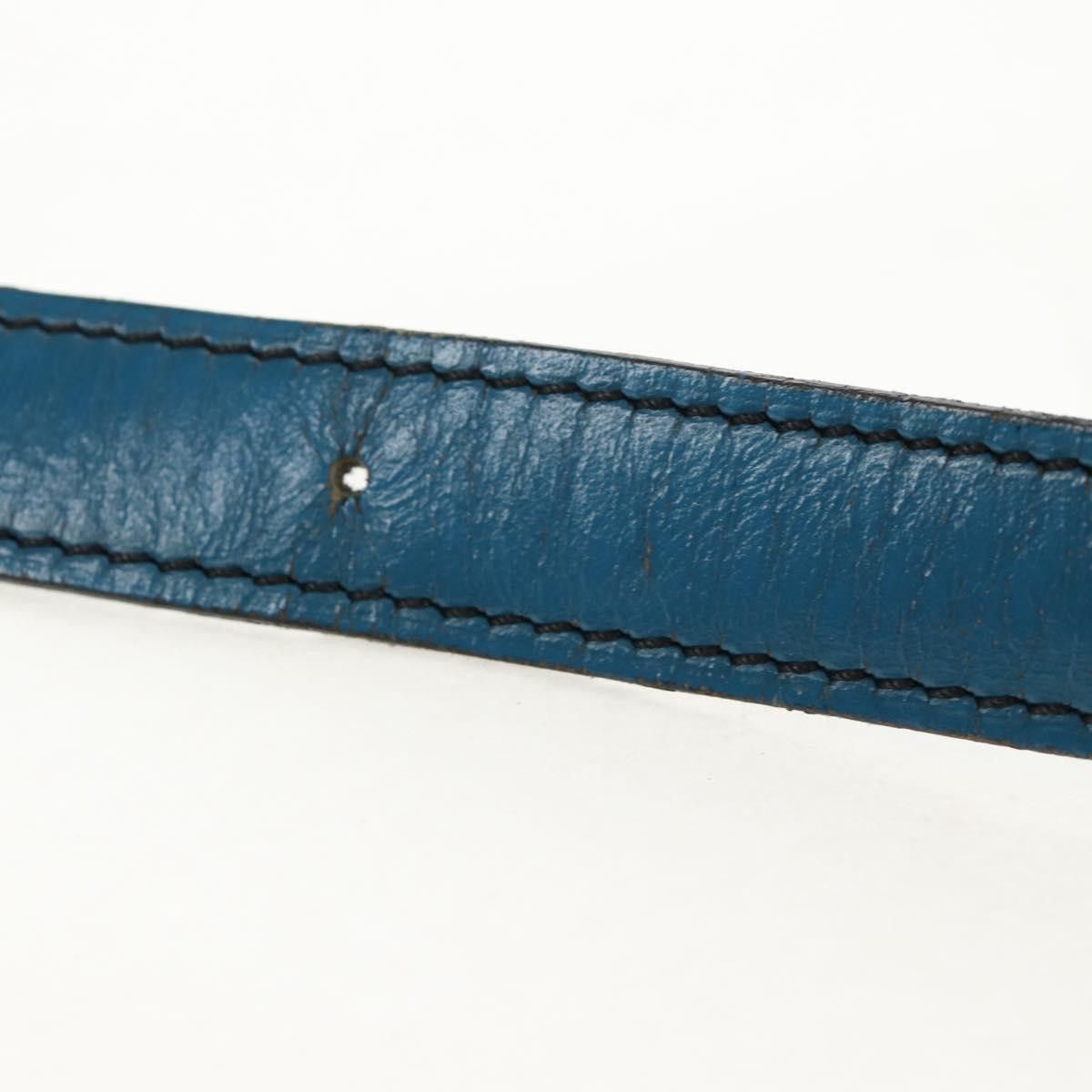 Louis Vuitton Louis Vuitton Cartouchiere Epi Leather Size ONE SIZE - 18 Thumbnail