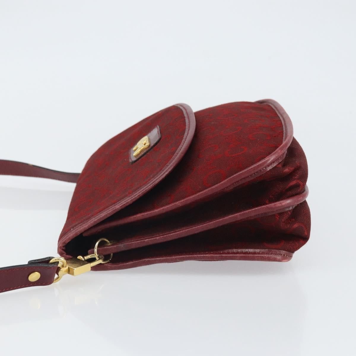 Celine Celine C Sulky Shoulder bag Canvas Size ONE SIZE - 5 Thumbnail