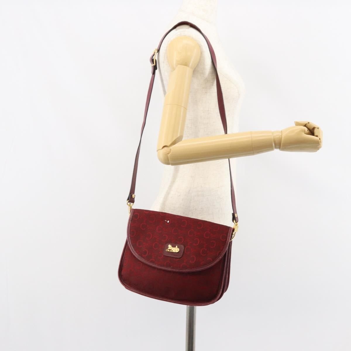 Celine Celine C Sulky Shoulder bag Canvas Size ONE SIZE - 23 Thumbnail