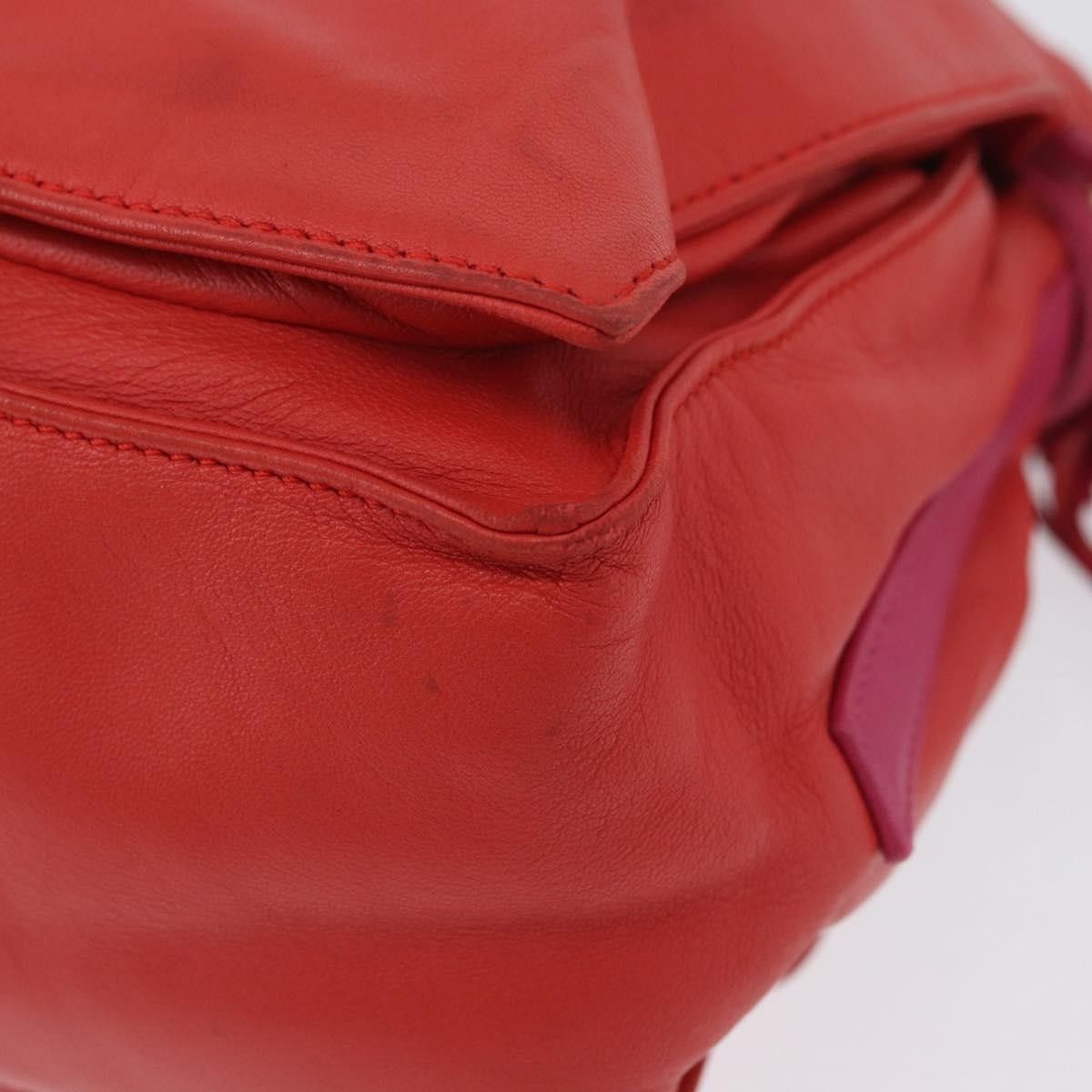 Loewe Loewe Flamenco Bag Leather Size ONE SIZE - 11 Thumbnail