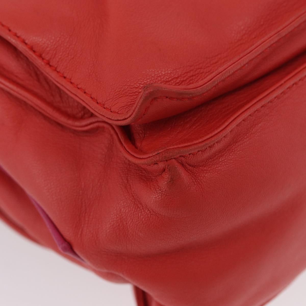 Loewe Loewe Flamenco Bag Leather Size ONE SIZE - 12 Thumbnail
