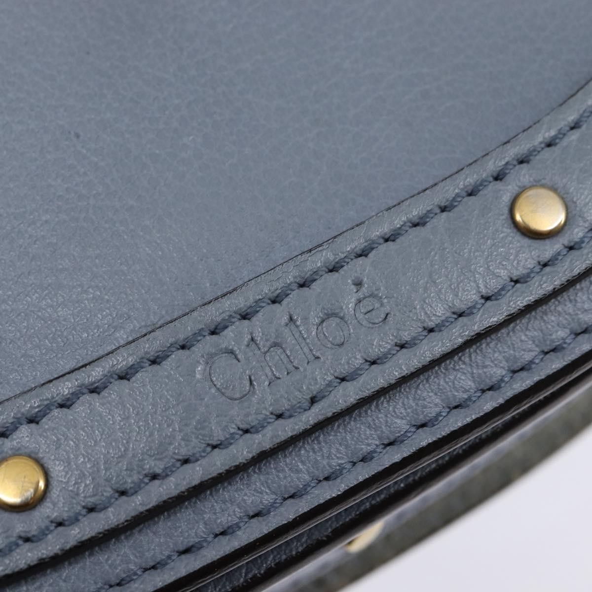 Chloe Chloe Nile Leather Size ONE SIZE - 20 Thumbnail