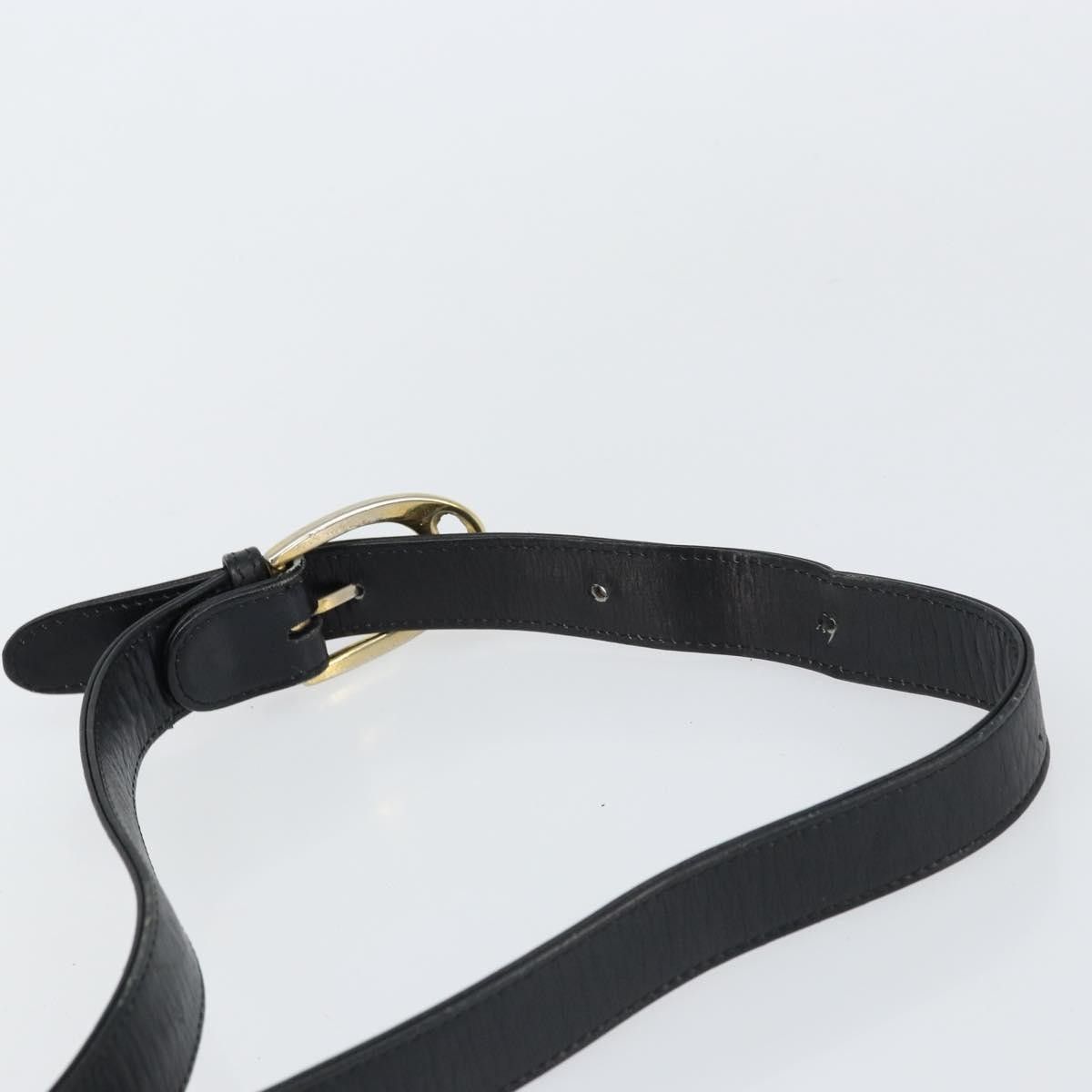 Celine Celine Horse Carriage Leather Size ONE SIZE - 15 Thumbnail