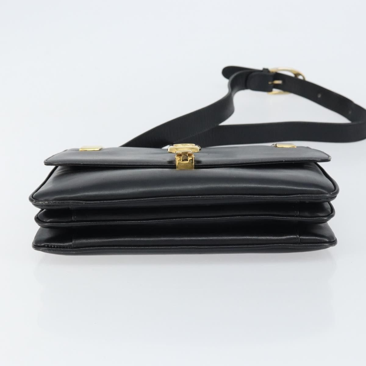 Celine Celine Horse Carriage Leather Size ONE SIZE - 16 Thumbnail