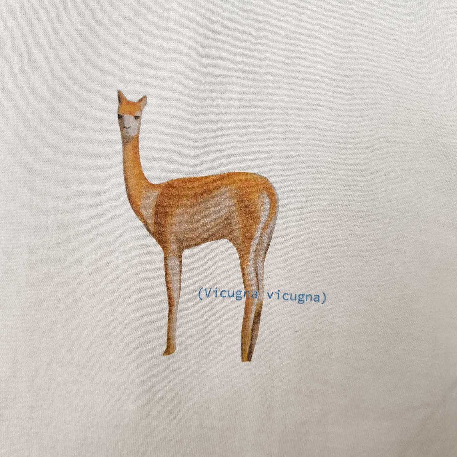 Loro Piana Loro Piana x Hiroshi Fujiwara Vicuna T-Shirt Size XS Size XS / US 0-2 / IT 36-38 - 5 Thumbnail