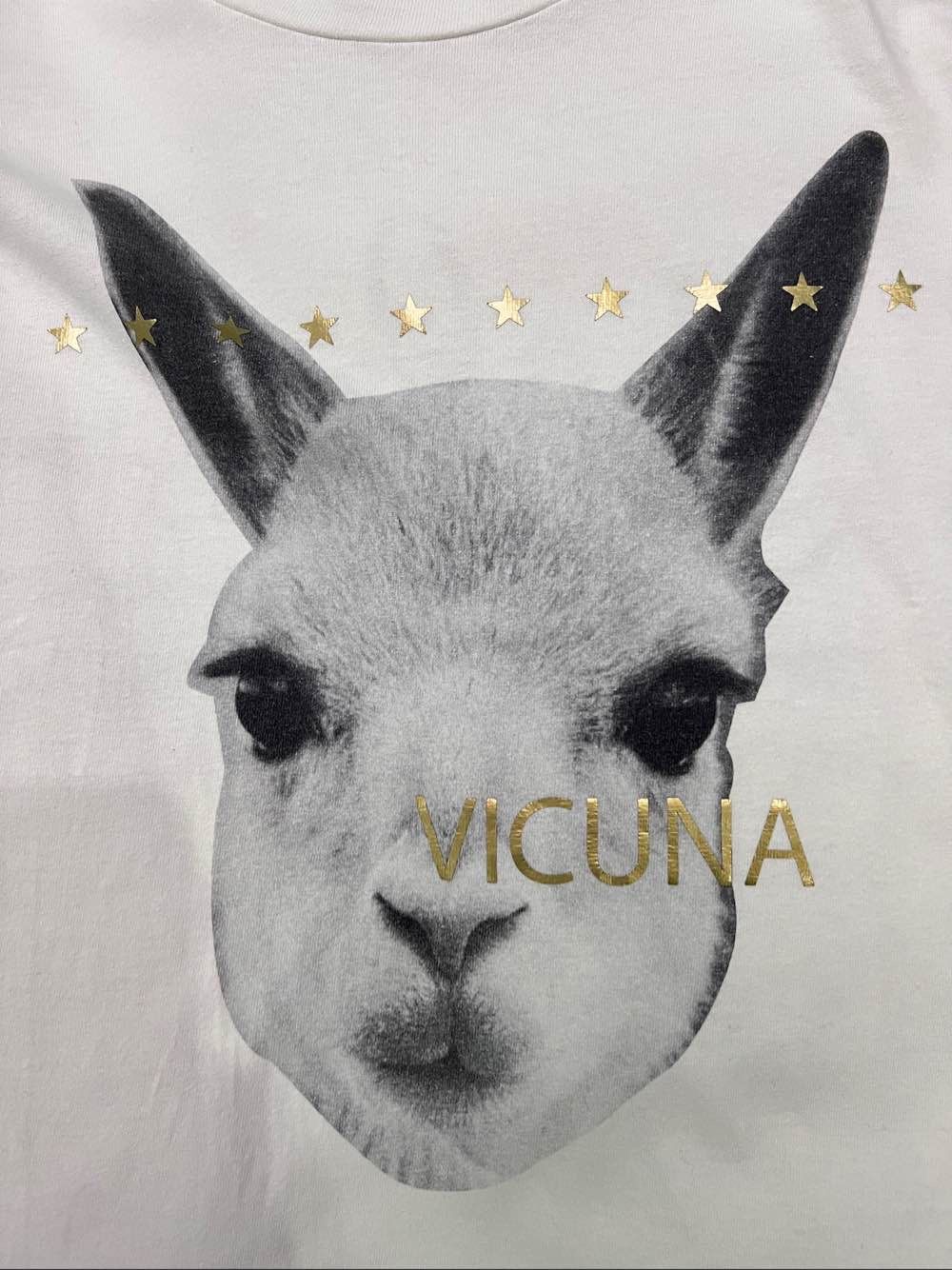 Loro Piana Loro Piana x Hiroshi Fujiwara Vicuna Print T-Shirt Size M Size US M / EU 48-50 / 2 - 7 Thumbnail