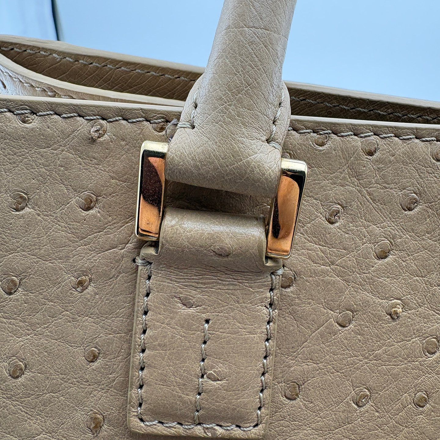Loro Piana Loro Piana Ostrich Embossed Handle Bag One Size Size ONE SIZE - 15 Thumbnail