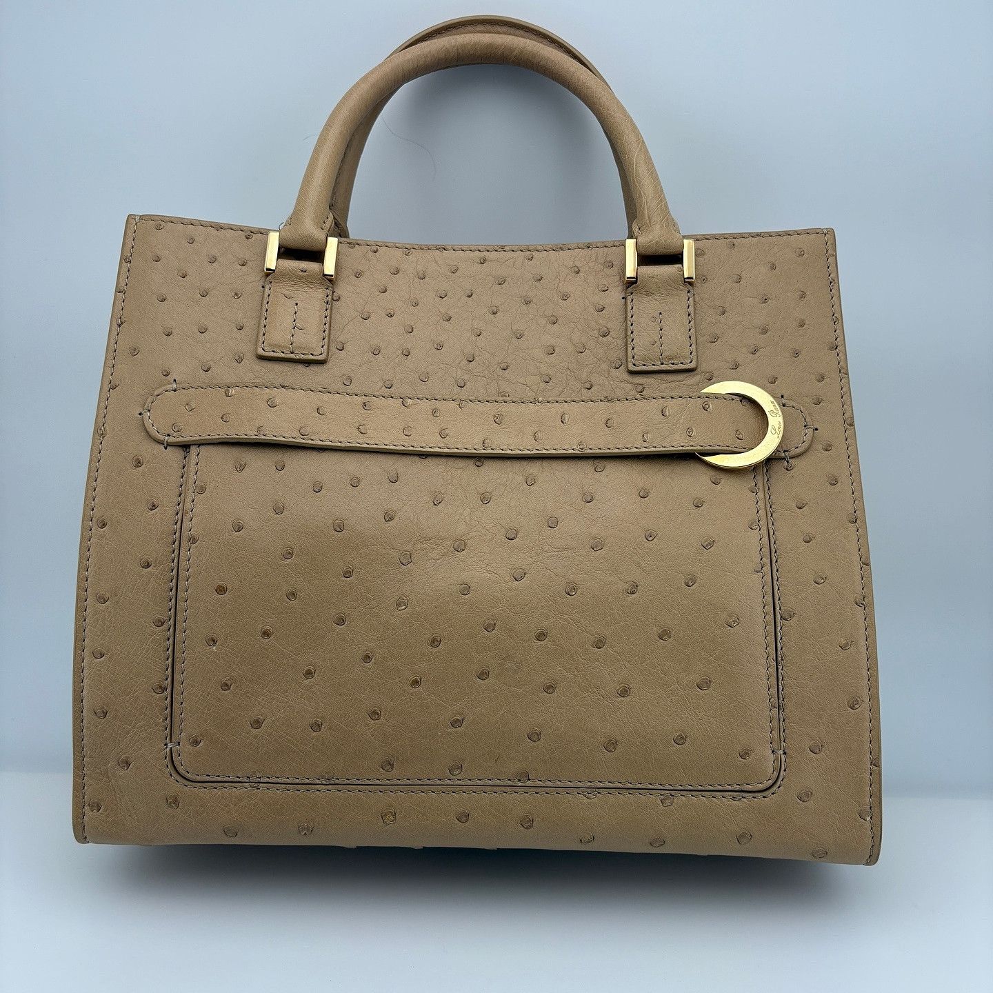 Loro Piana Loro Piana Ostrich Embossed Handle Bag One Size Size ONE SIZE - 2 Thumbnail