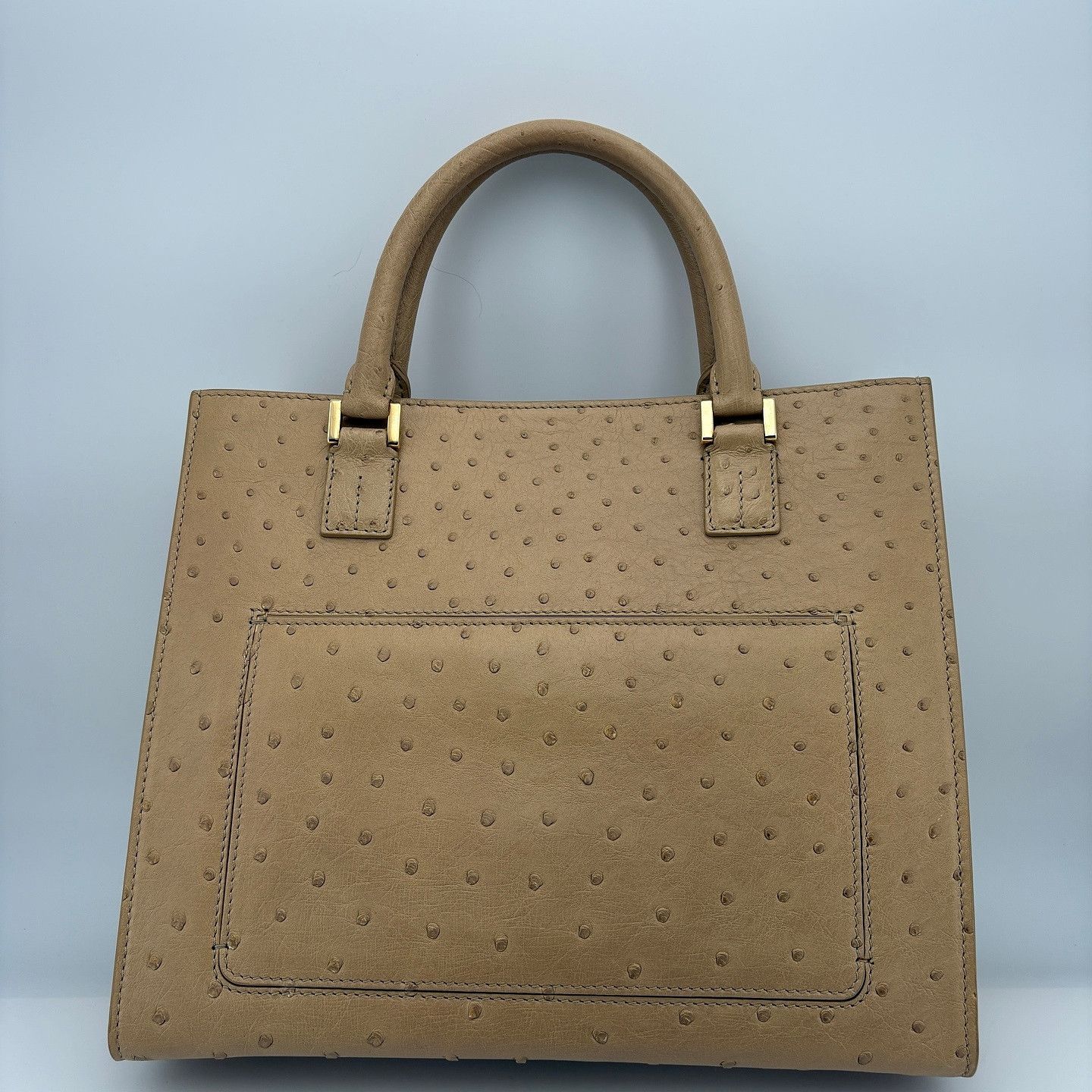 Loro Piana Loro Piana Ostrich Embossed Handle Bag One Size Size ONE SIZE - 3 Thumbnail