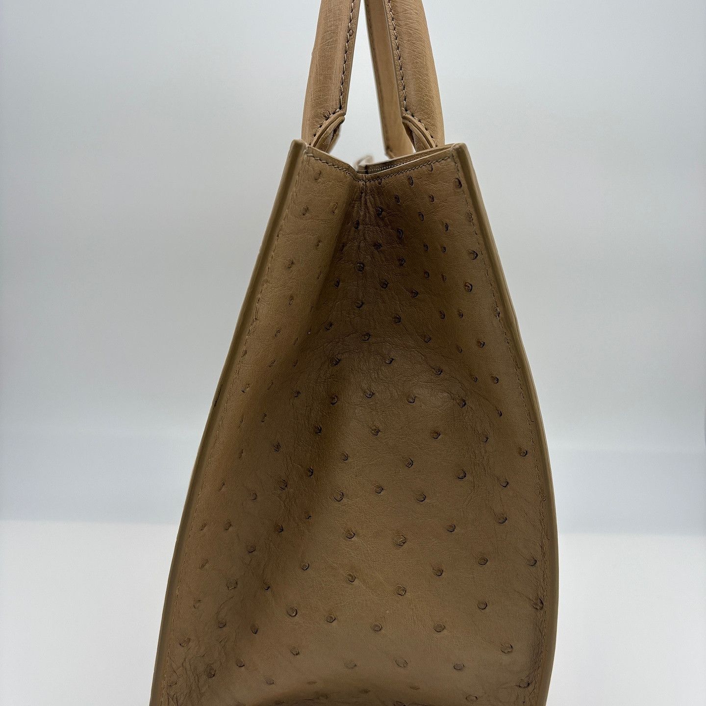 Loro Piana Loro Piana Ostrich Embossed Handle Bag One Size Size ONE SIZE - 4 Thumbnail