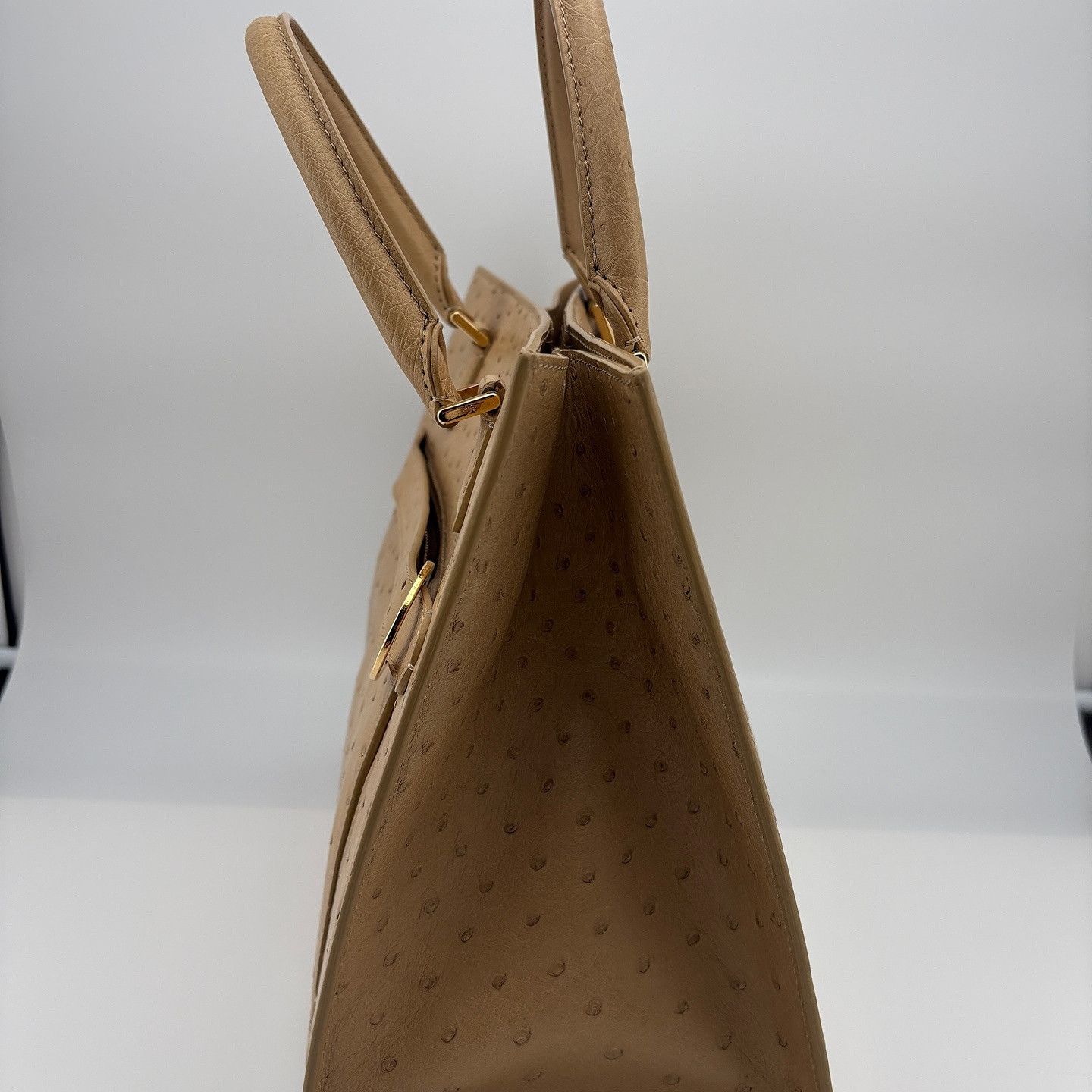Loro Piana Loro Piana Ostrich Embossed Handle Bag One Size Size ONE SIZE - 6 Thumbnail