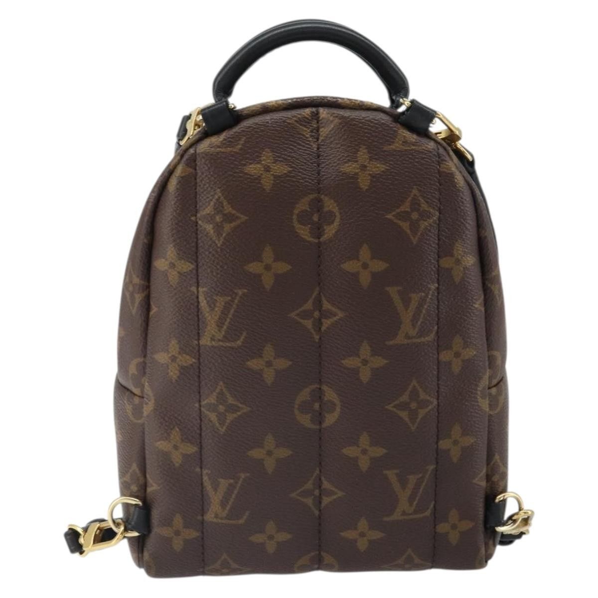 Louis Vuitton Louis Vuitton Palm Springs Backpack Monogram Canvas Size ONE SIZE - 2 Thumbnail