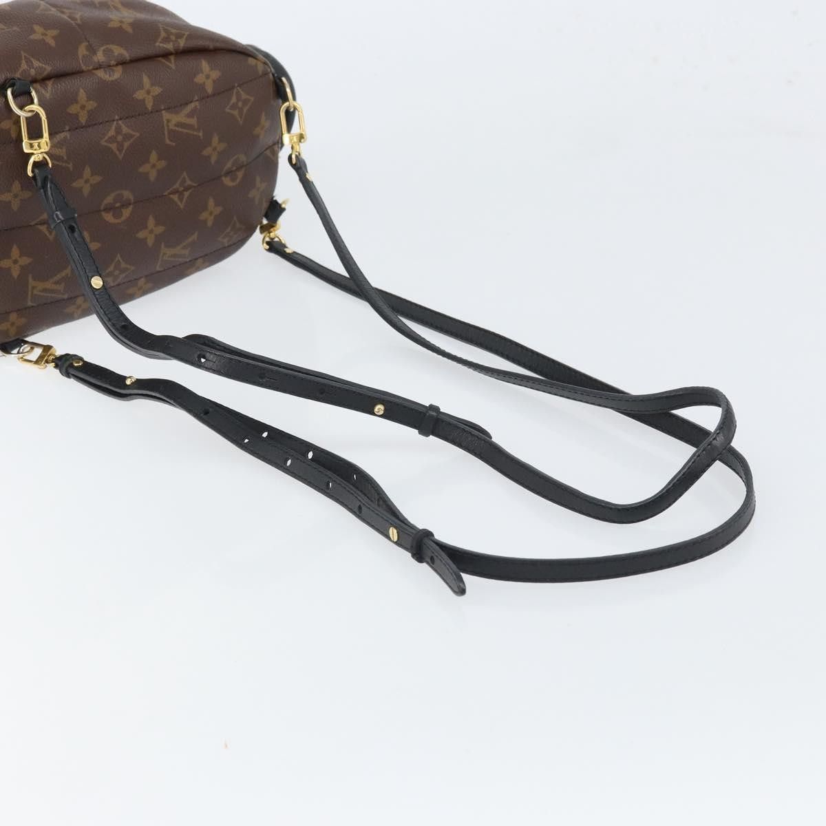 Louis Vuitton Louis Vuitton Palm Springs Backpack Monogram Canvas Size ONE SIZE - 16 Thumbnail