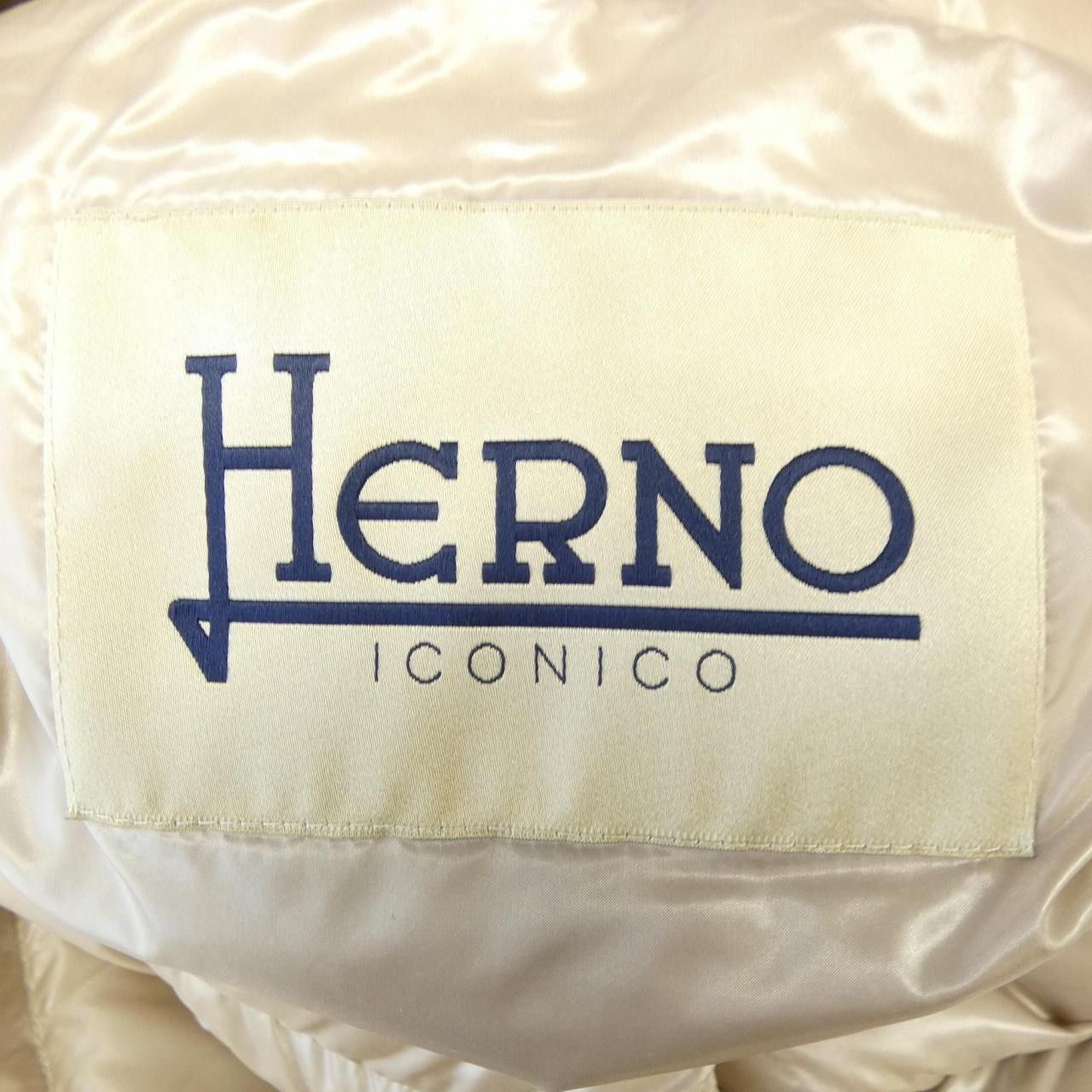 Other Other Herno Iconico Sofia Down Jacket Textile Outerwear PI0046DIC DUTY FREE for USA Size ONE SIZE - 5 Thumbnail