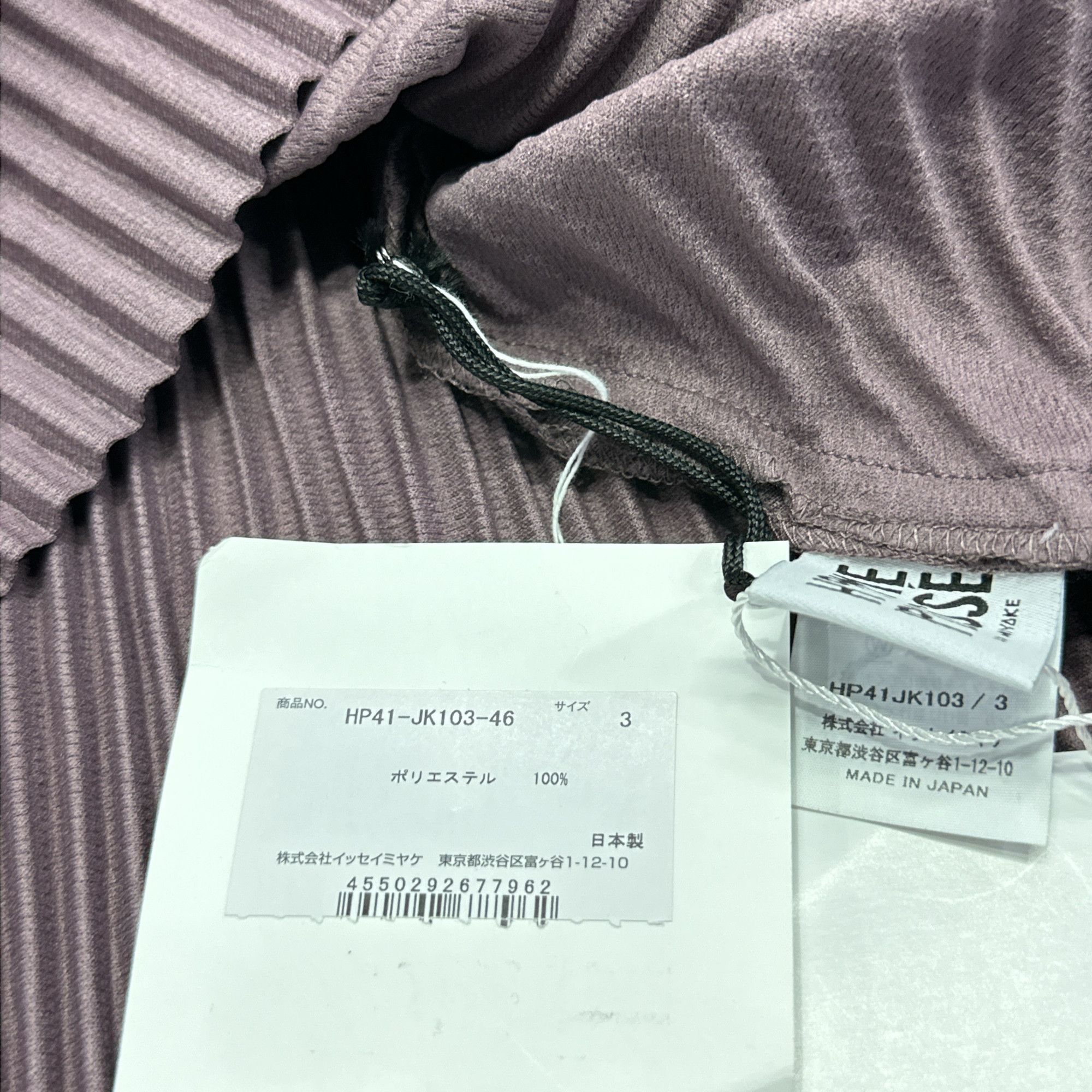 Issey Miyake Homme Plissé Issey Miyake Pleated Long Sleeve Tee Size L Size US L / EU 52-54 / 3 - 3 Thumbnail