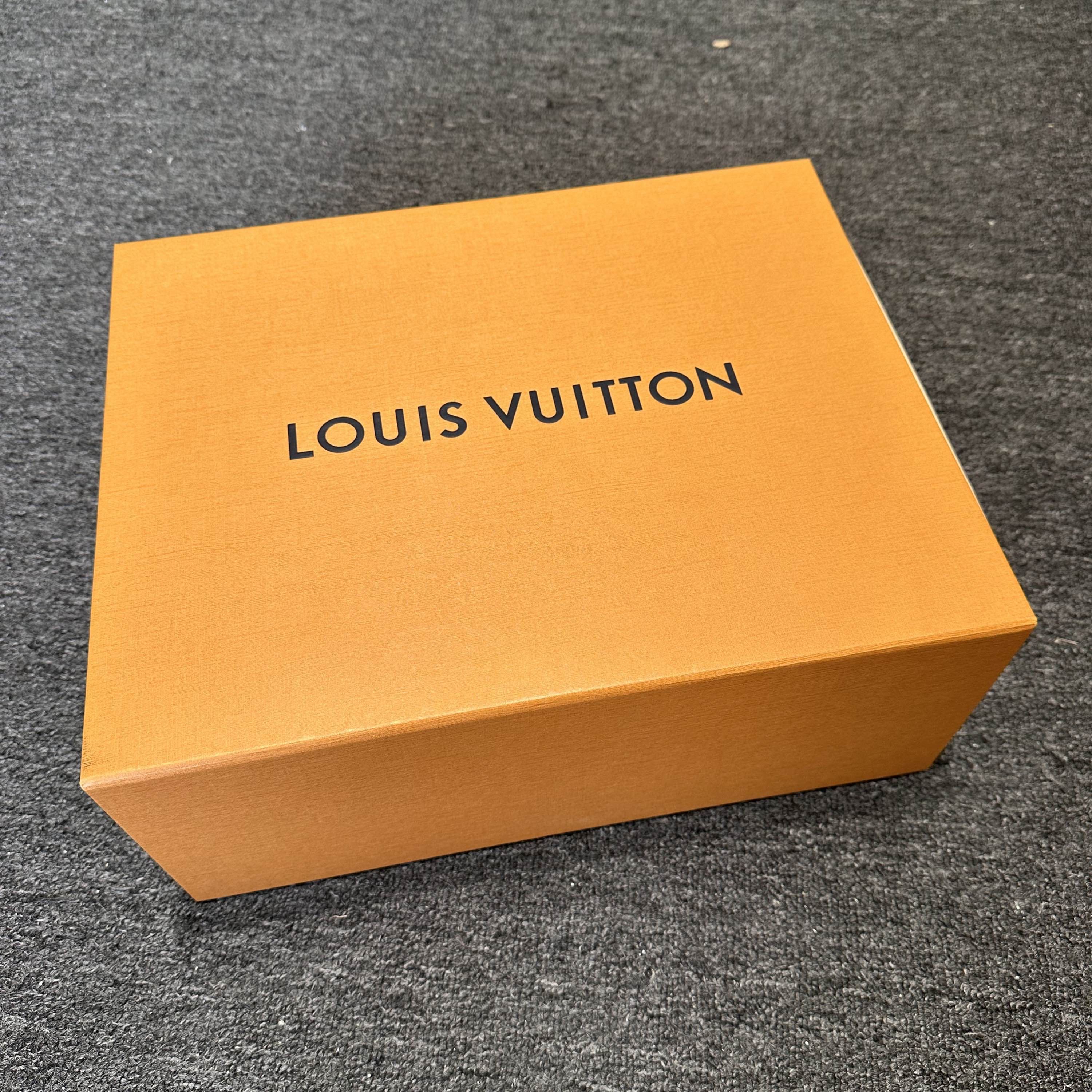 Louis Vuitton Louis Vuitton Mesh Leather Low-Top Sneakers US 12 Size US 12 / EU 45 - 6 Thumbnail