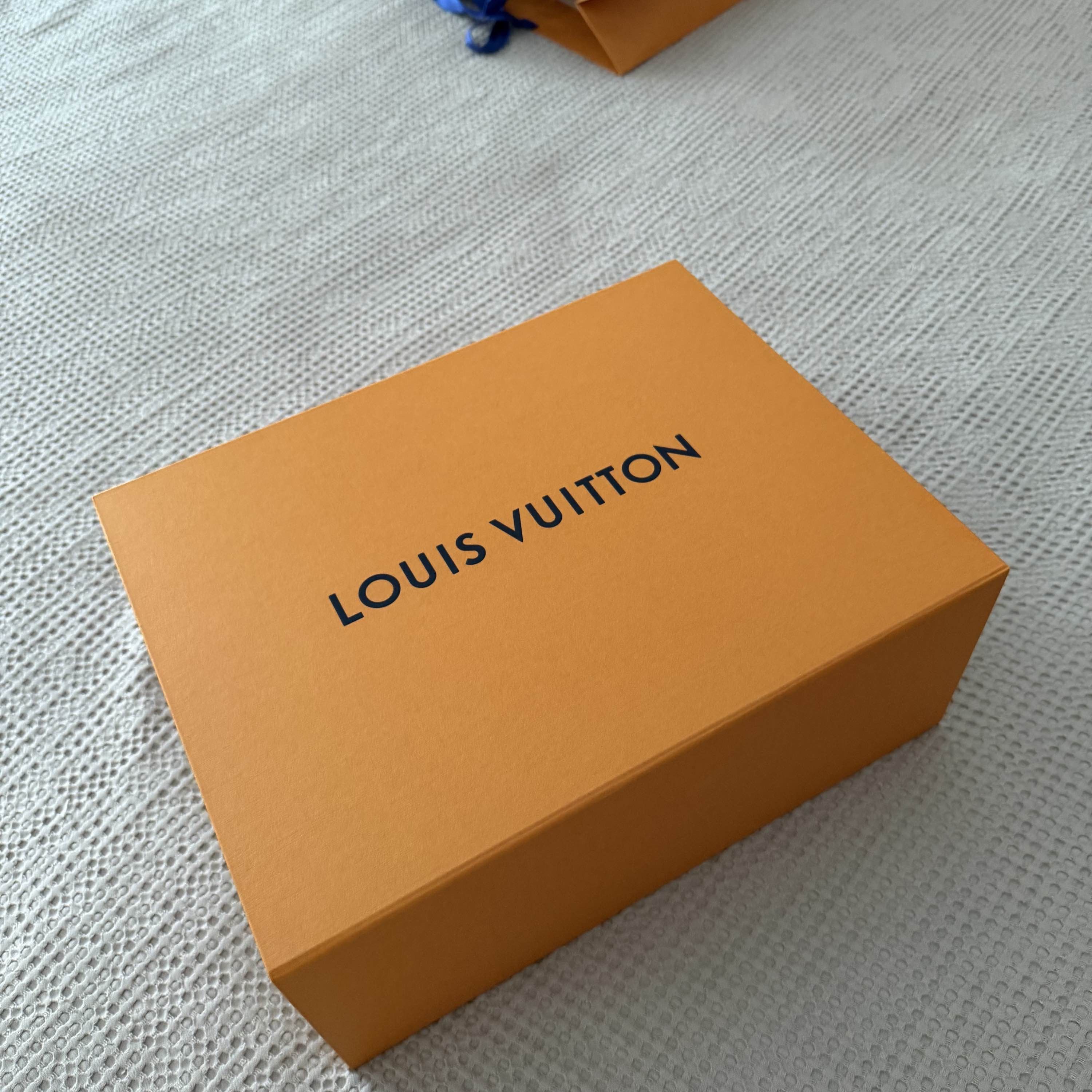 Louis Vuitton Louis Vuitton Trainer Low Sneakers Size 6.5 Size US 6.5 / EU 39-40 - 6 Thumbnail