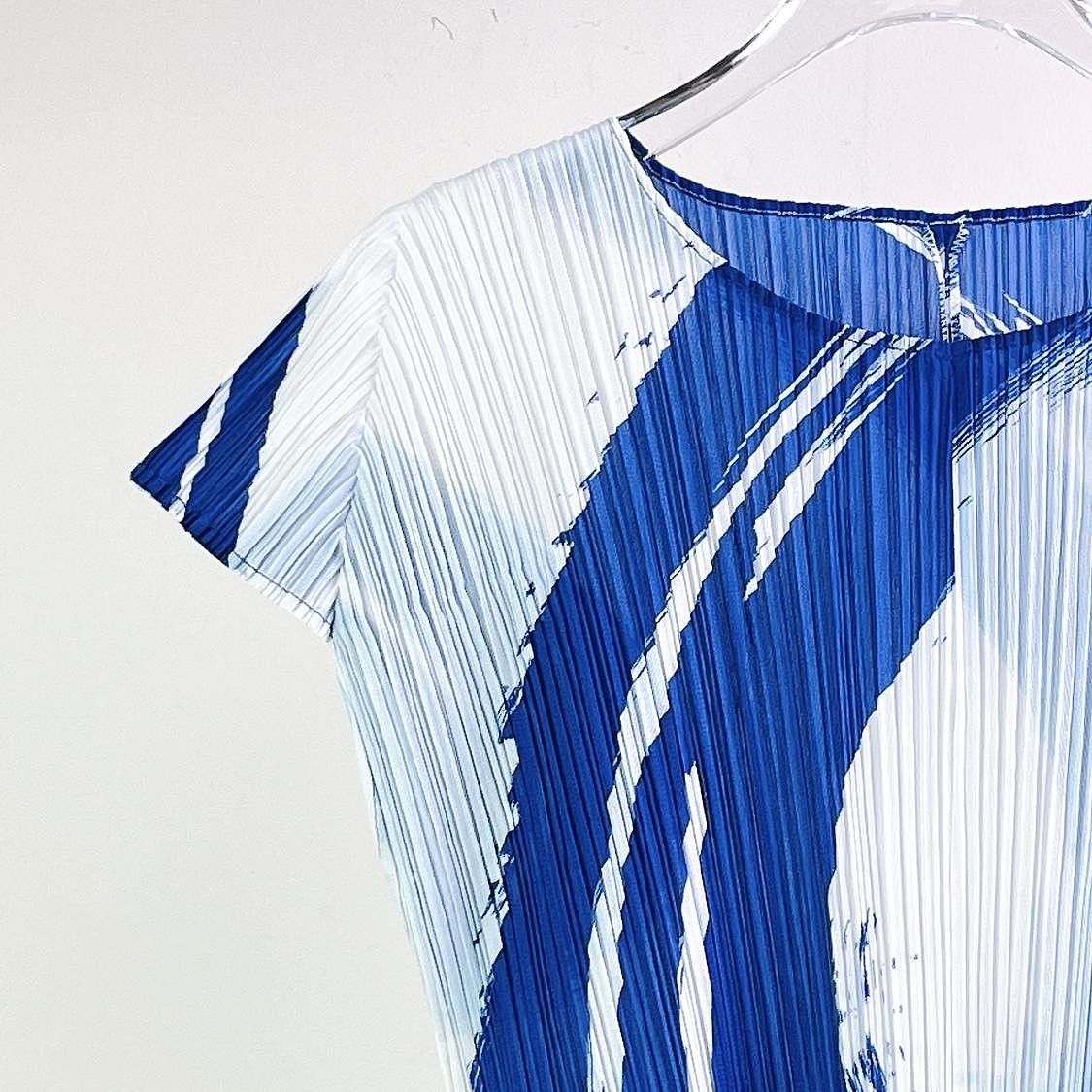Pleats Please Issey Miyake Pleats Please Issey Miyake Blue Print Maxi Dress Size 3 Size M / US 6-8 / IT 42-44 - 3 Thumbnail