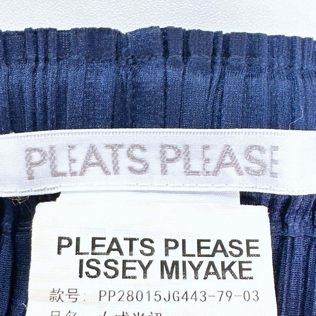 Pleats Please Issey Miyake Pleats Please Issey Miyake Pleated Midi Skirt Size 26 Size 26" / US 2 / IT 38 - 3 Thumbnail