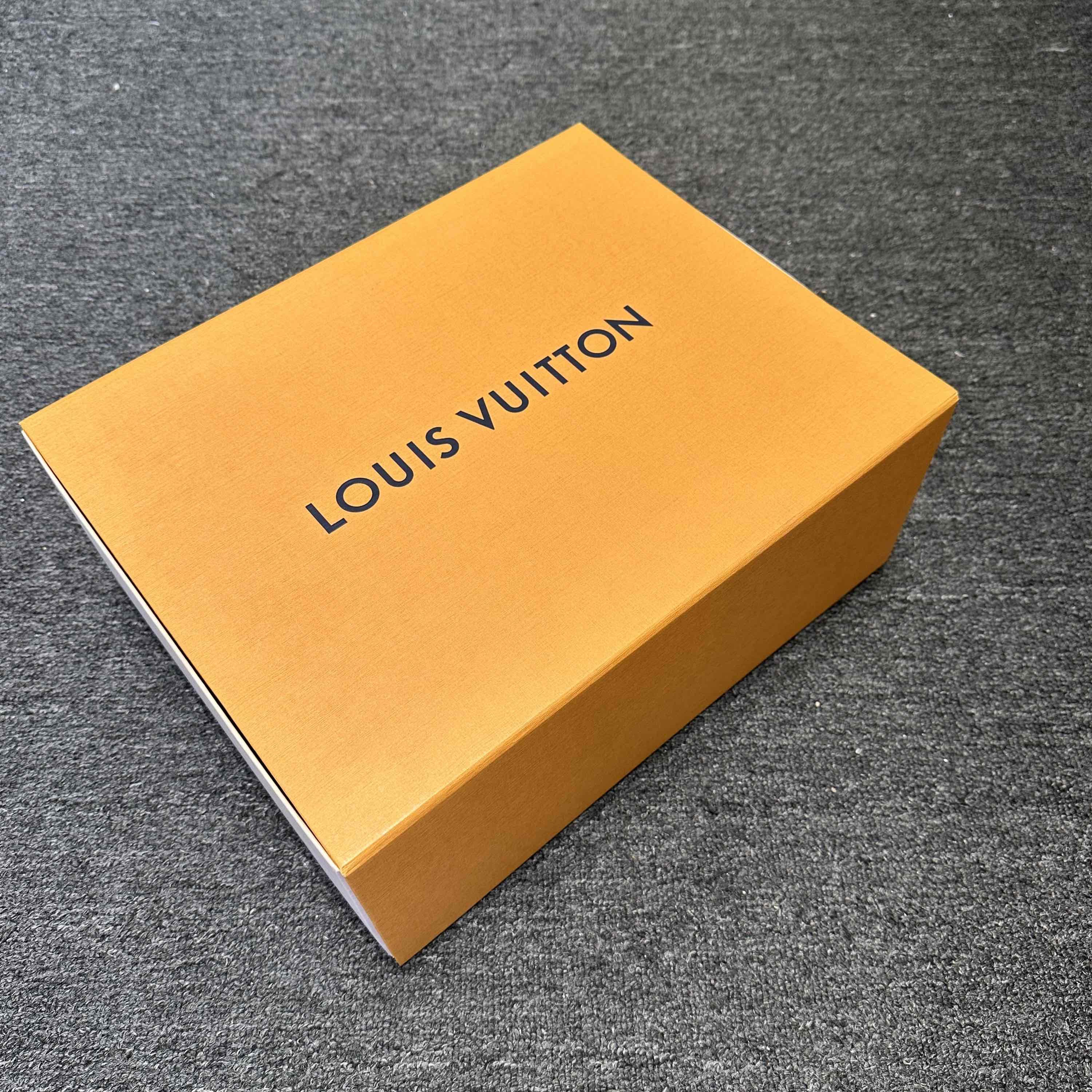 Louis Vuitton Louis Vuitton Trainer Low-Top Sneakers Size 10 Size US 10 / EU 43 - 6 Thumbnail