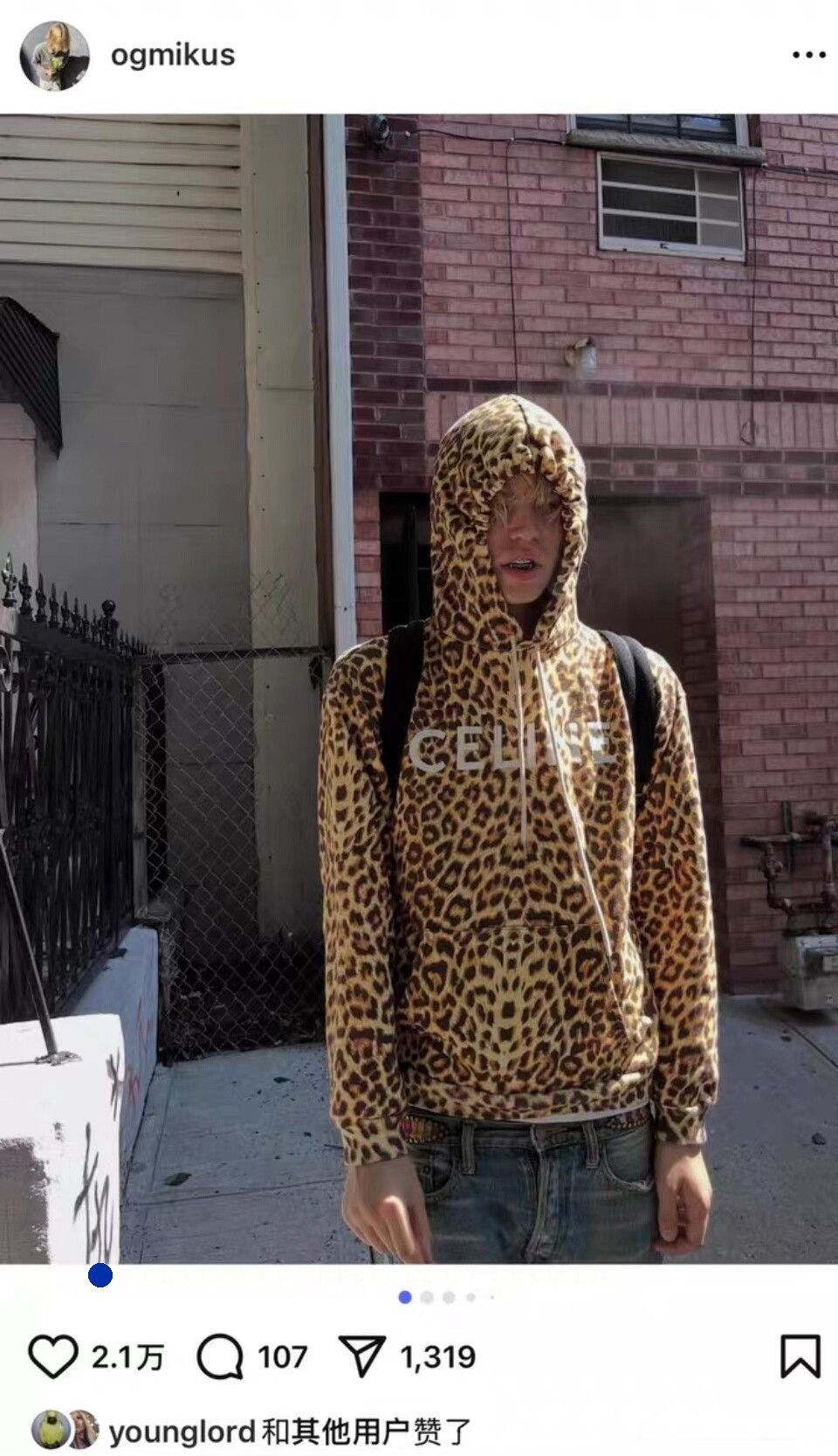 Celine Leopard Print Hoodie - Multi, XL Size US XL / EU 56 / 4 - 9 Thumbnail