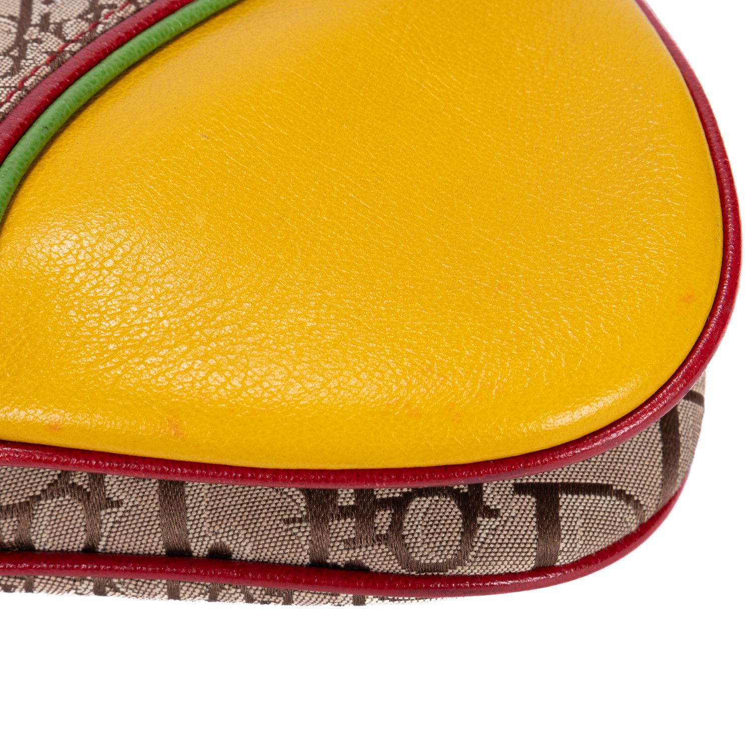 Dior Rasta Trotter Double Saddle Bag Size ONE SIZE - 12 Thumbnail