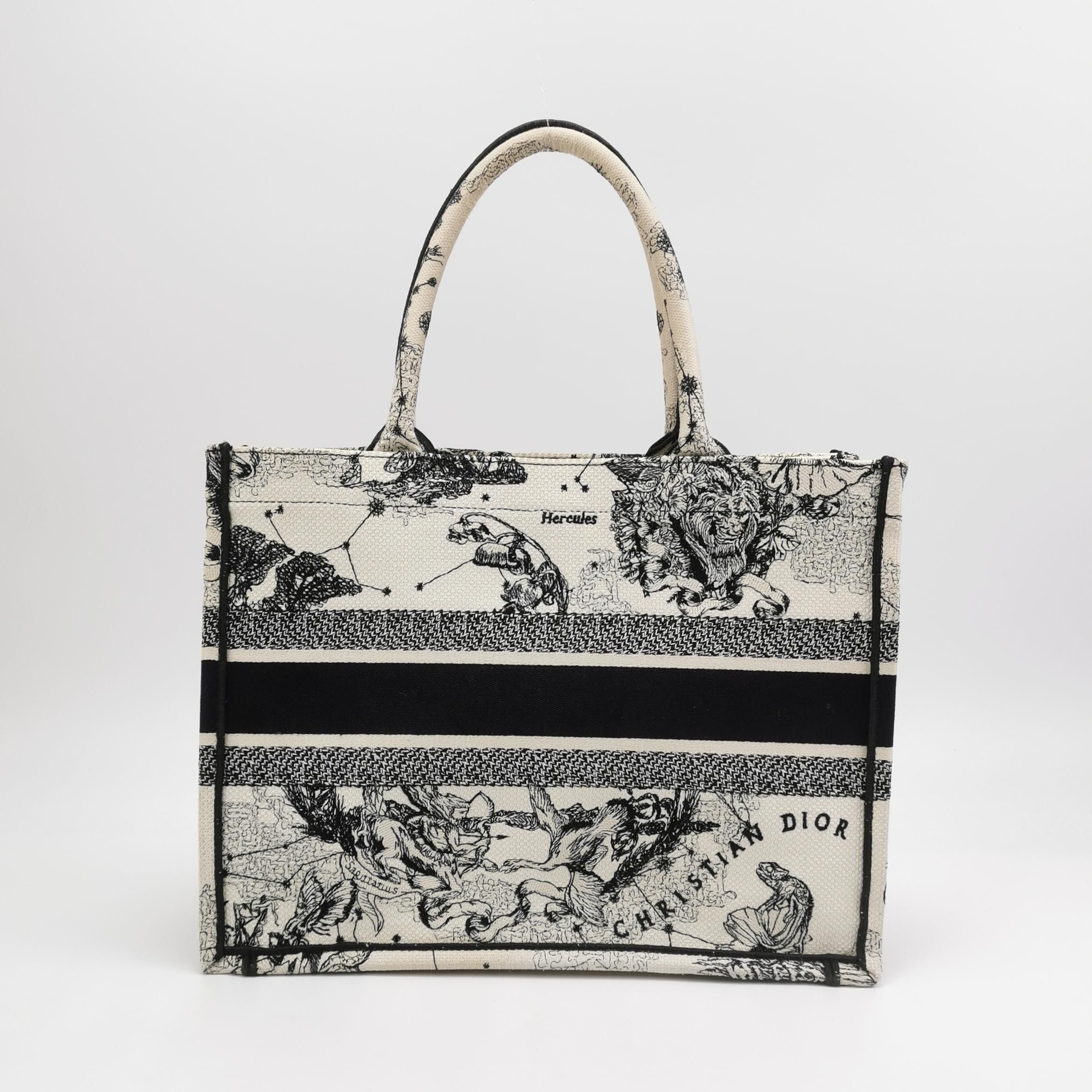 Dior Dior Women os Tote Bags Size ONE SIZE - 5 Thumbnail