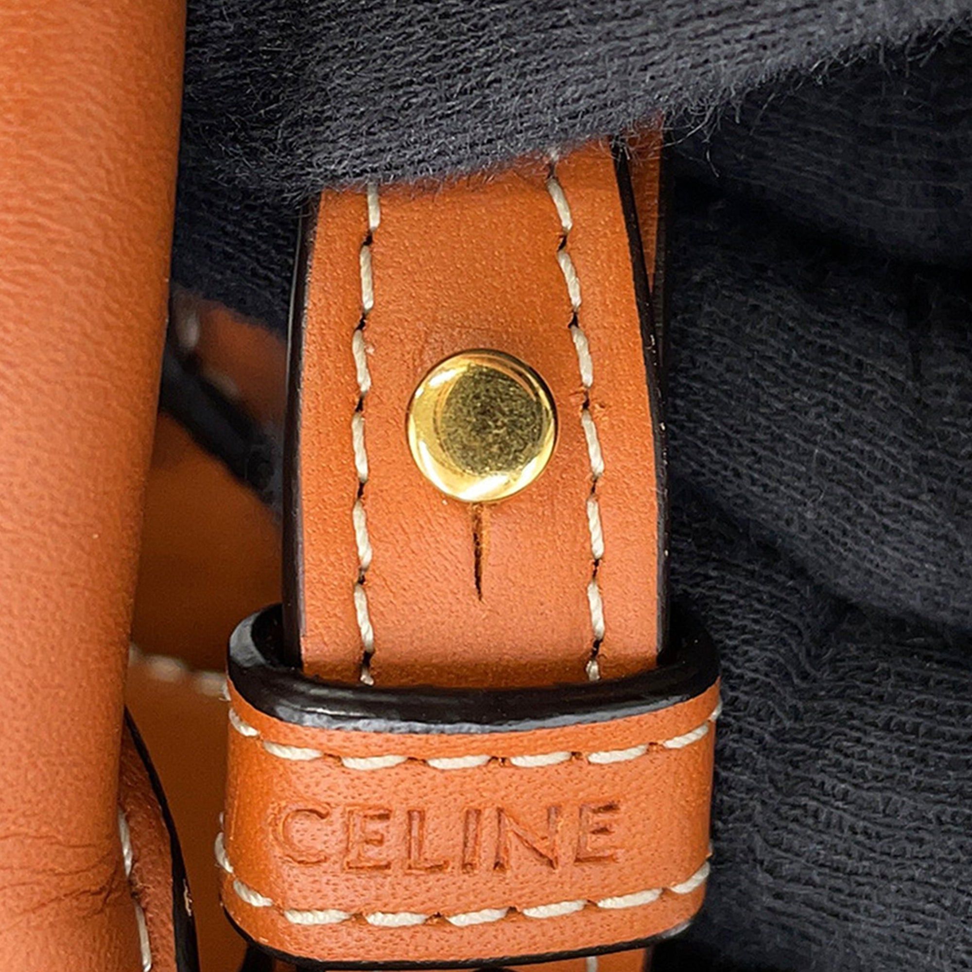 Celine Small Triomphe Coated Canvas Vertical Cabas Tote Size ONE SIZE - 7 Thumbnail