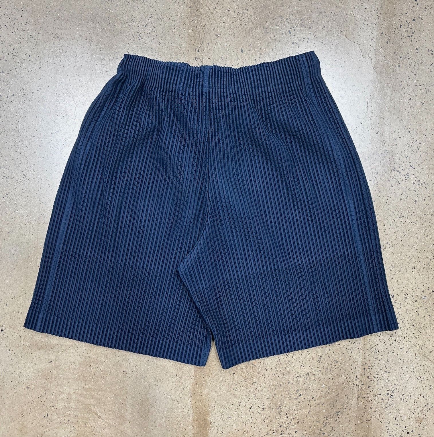 Issey Miyake Issey Miyake Homme Plisse JF142 Shorts Size US 30 / EU 46 - 2 Thumbnail