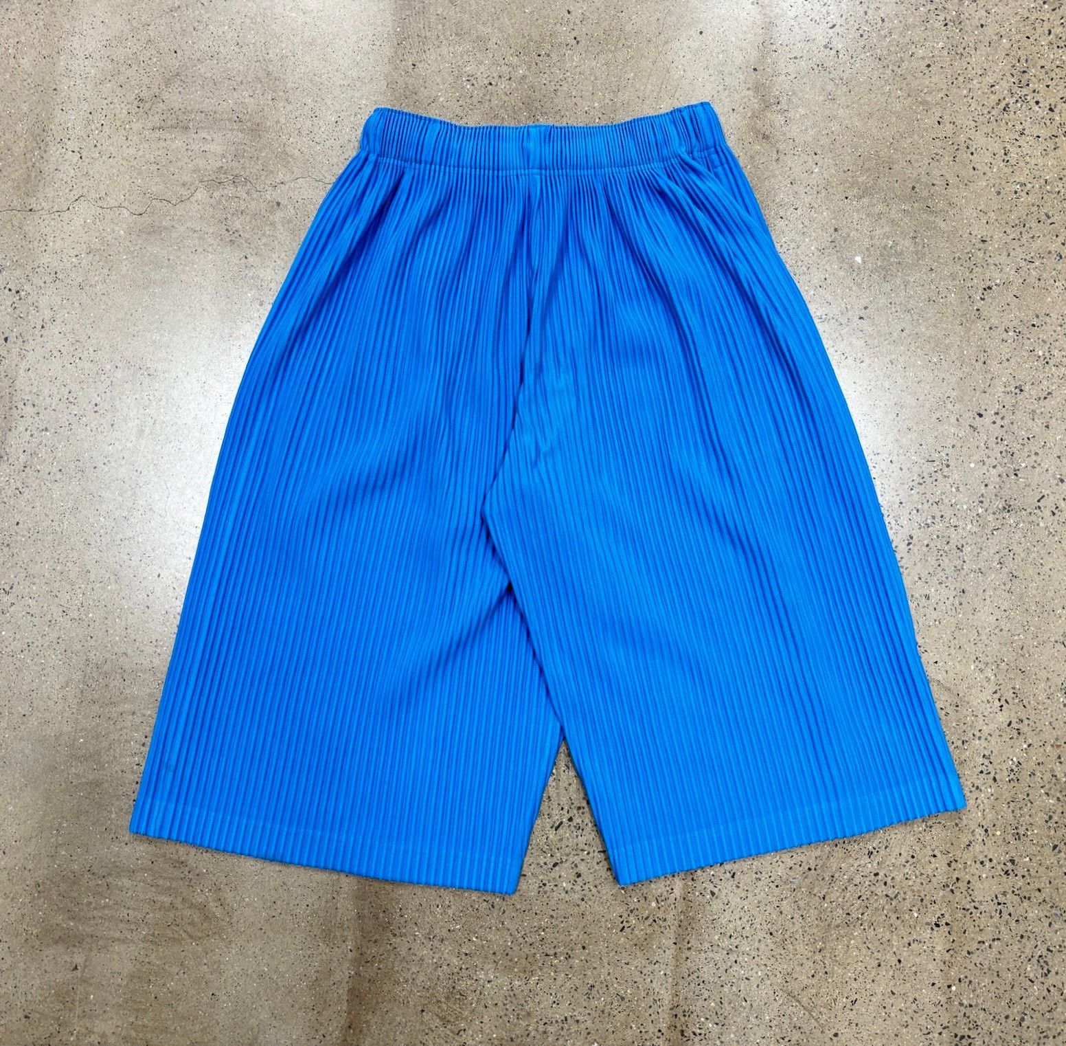 Issey Miyake Issey Miyake Homme Plisse Pleated Cropped Pants Size US 26 / EU 42 - 6 Thumbnail
