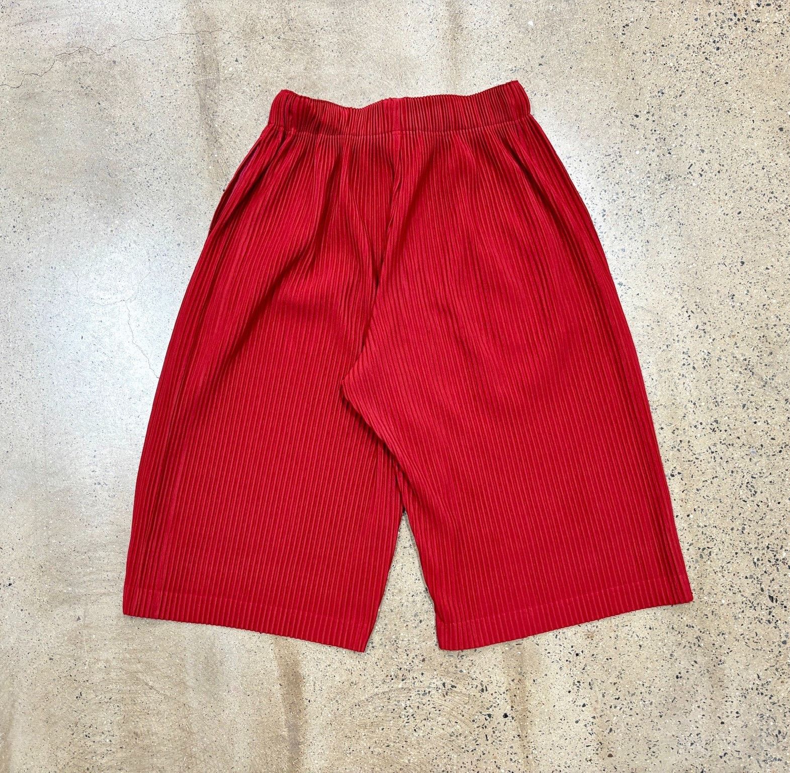 Issey Miyake Issey Miyake Pleated Wide-Leg Cropped Pants Size US 26 / EU 42 - 2 Thumbnail
