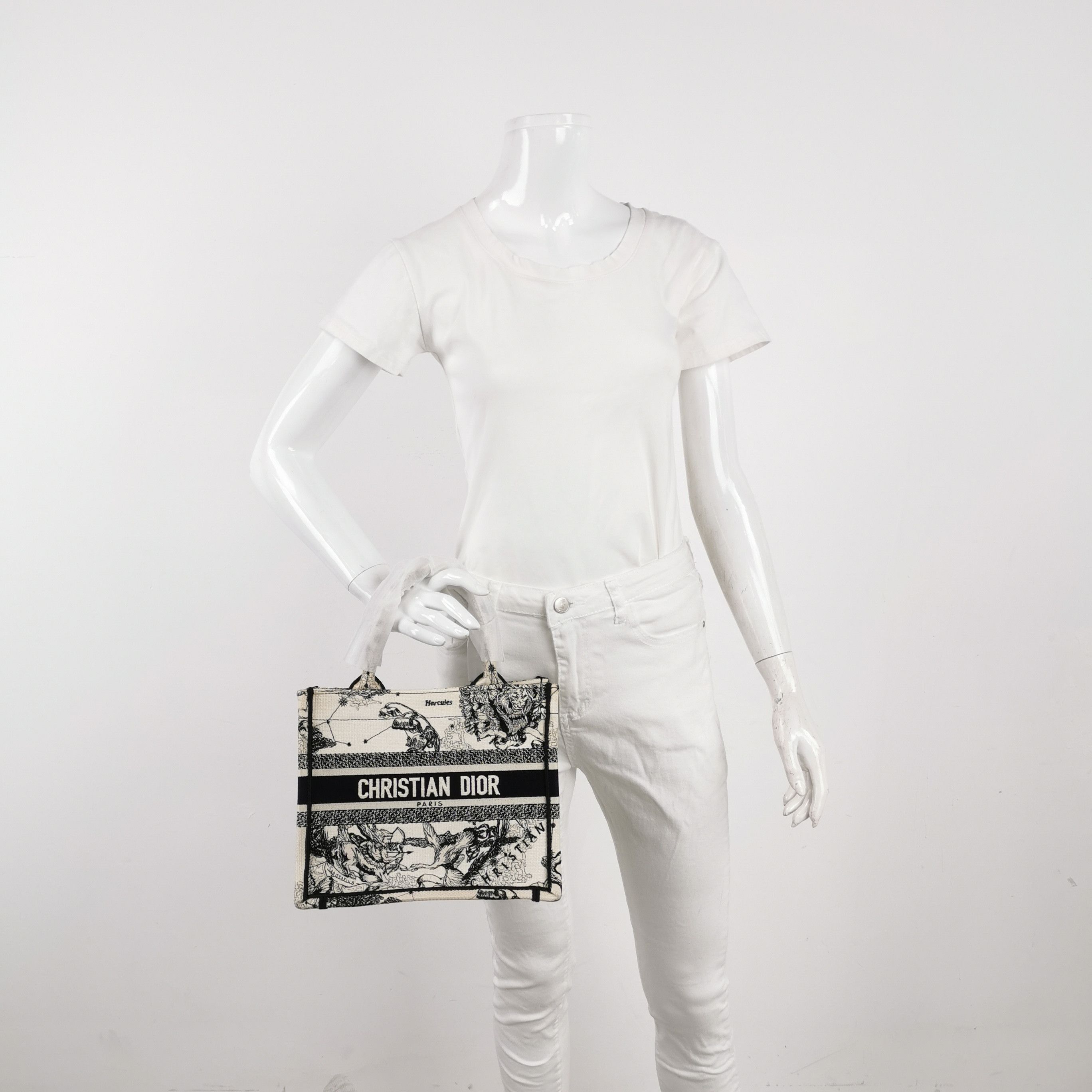 Dior Dior Women os Tote Bags Size ONE SIZE - 2 Thumbnail