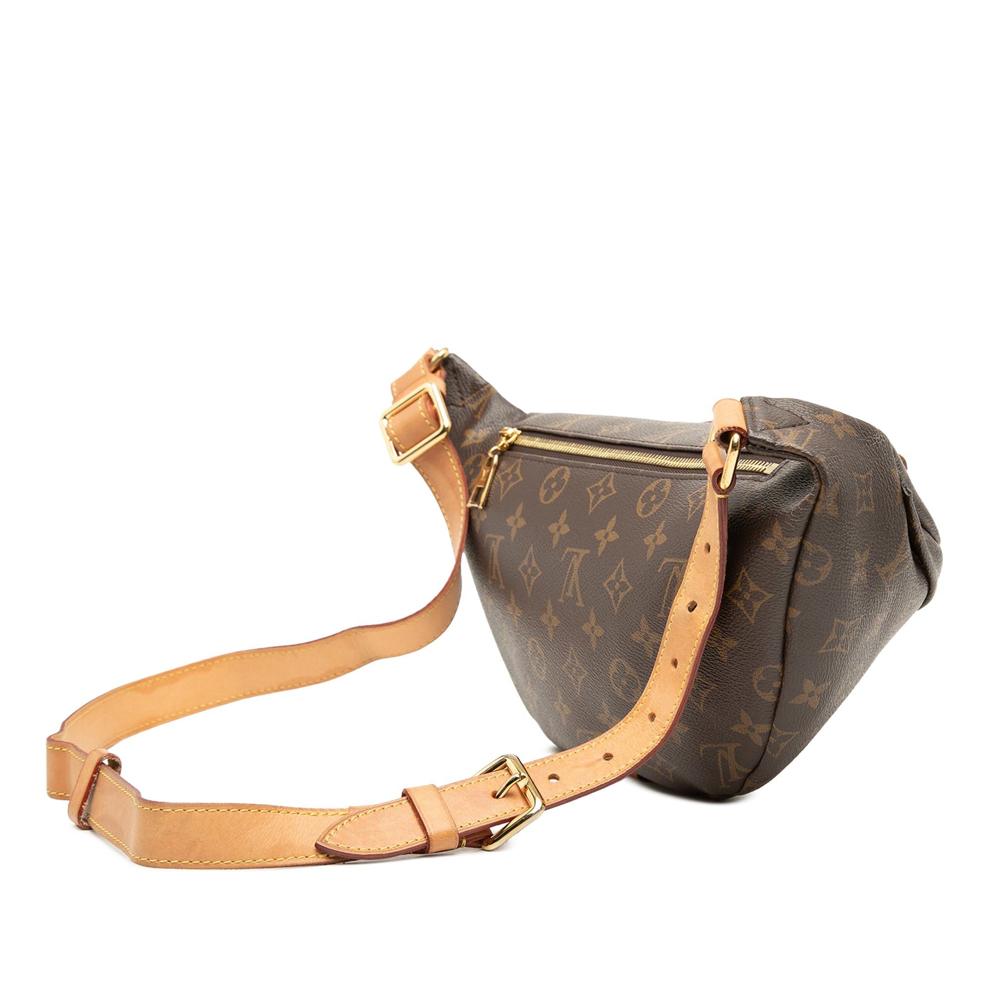 Louis Vuitton Monogram Bumbag Size ONE SIZE - 2 Thumbnail