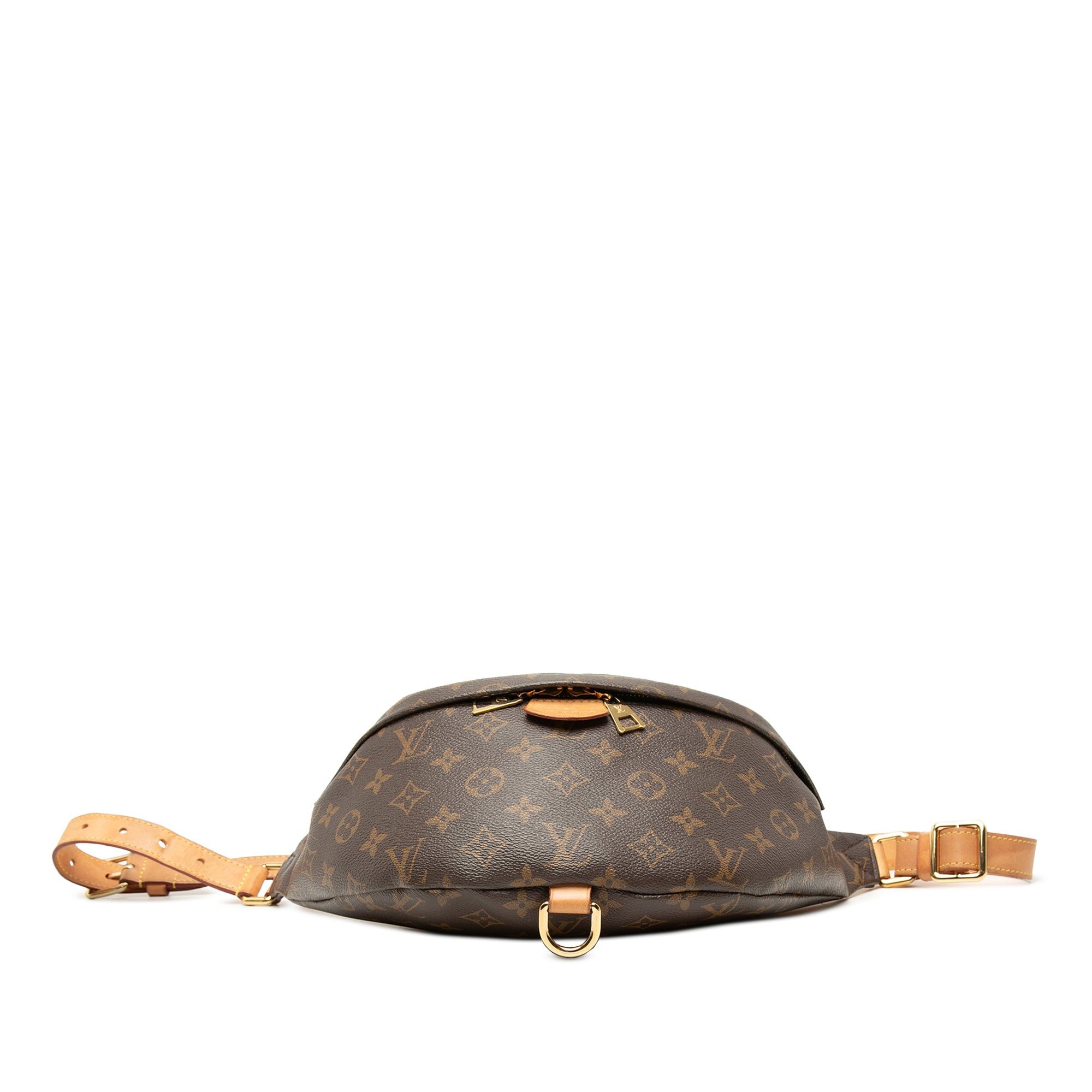 Louis Vuitton Monogram Bumbag Size ONE SIZE - 3 Thumbnail