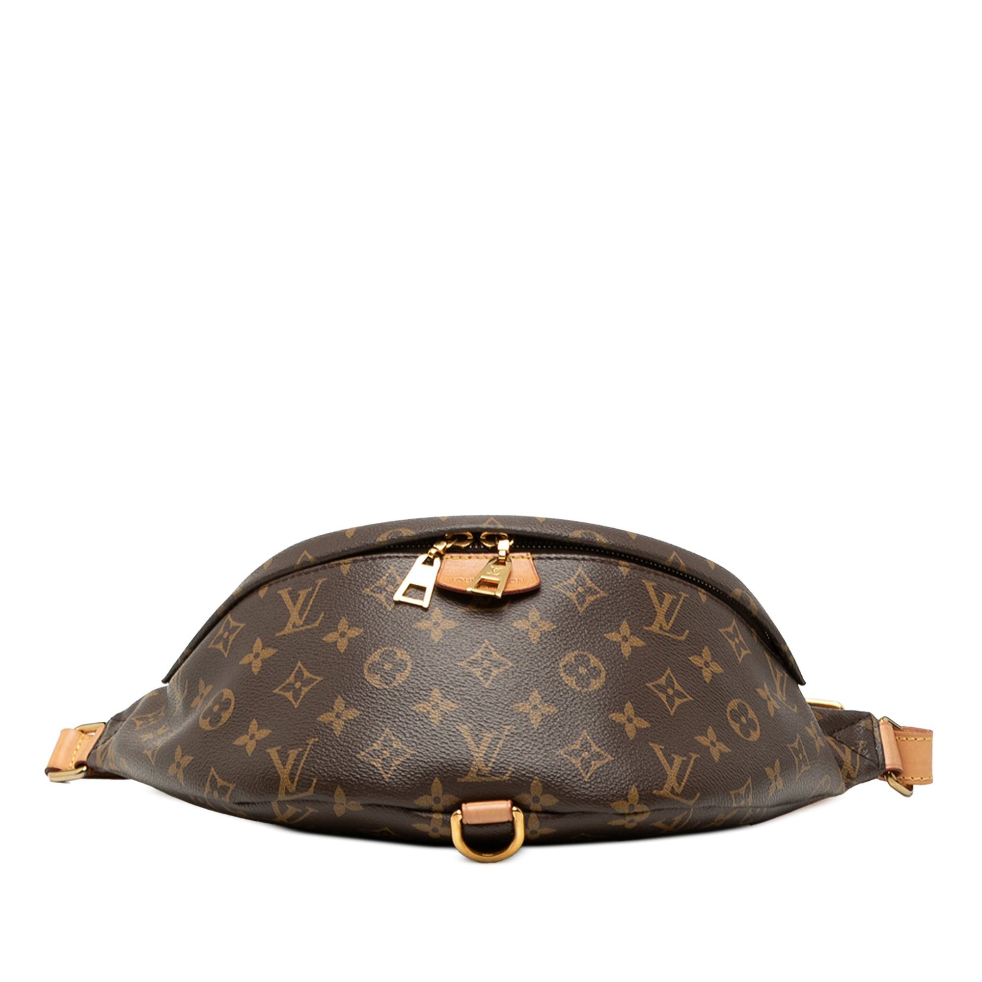 Louis Vuitton Monogram Bumbag Size ONE SIZE - 3 Thumbnail