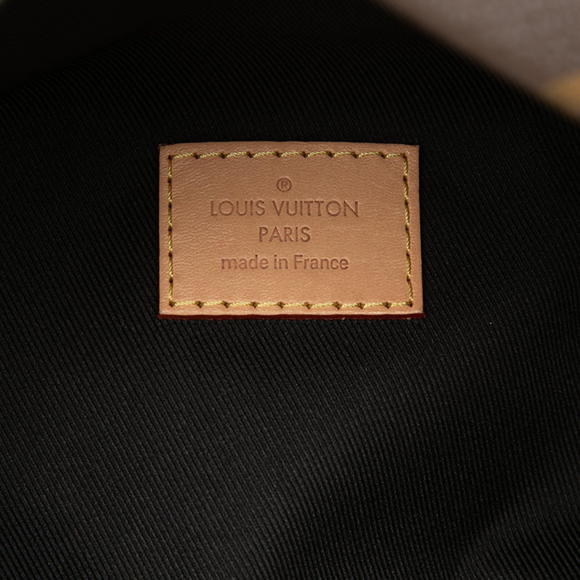 Louis Vuitton Monogram Bumbag Size ONE SIZE - 5 Thumbnail
