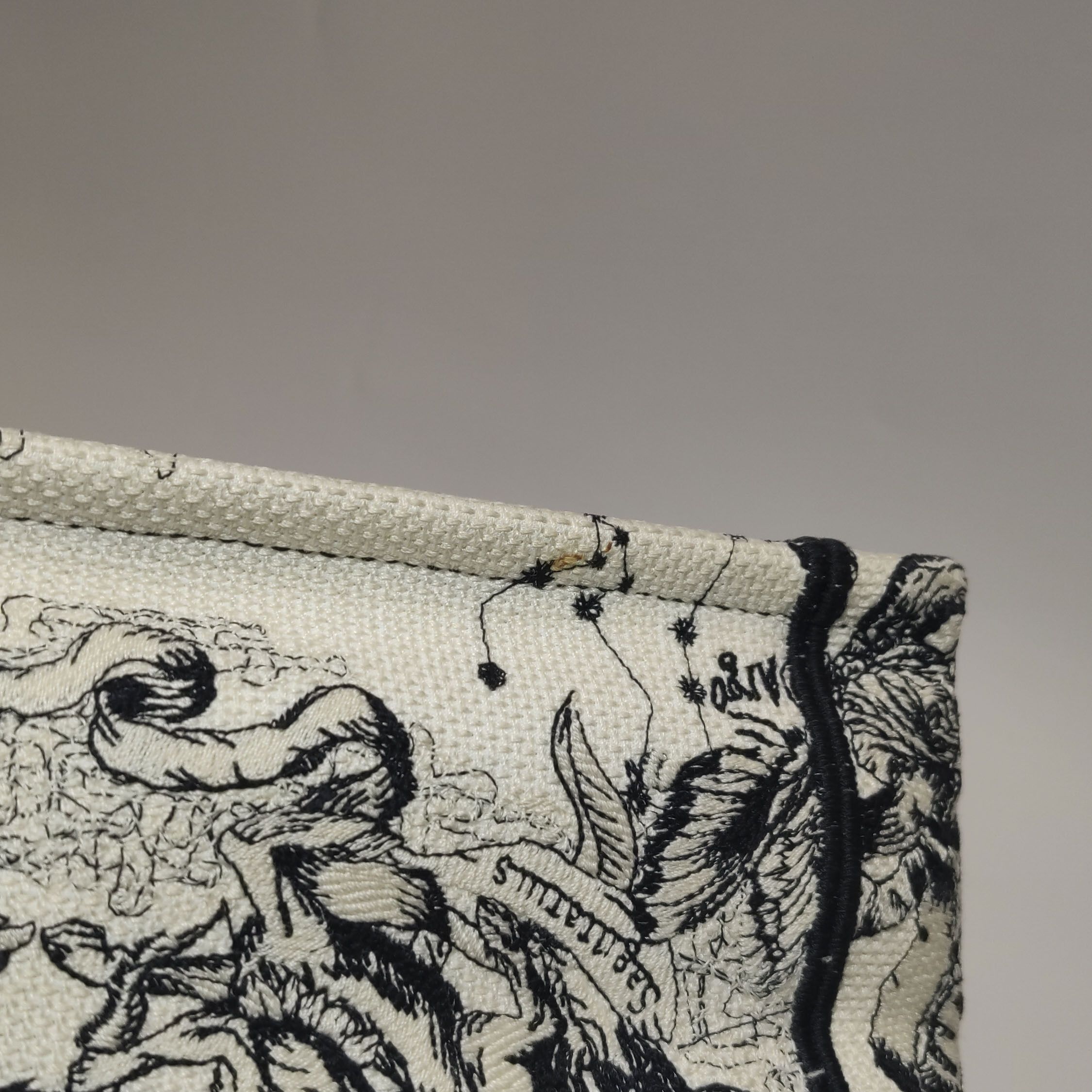 Dior Dior Women os Tote Bags Size ONE SIZE - 10 Thumbnail