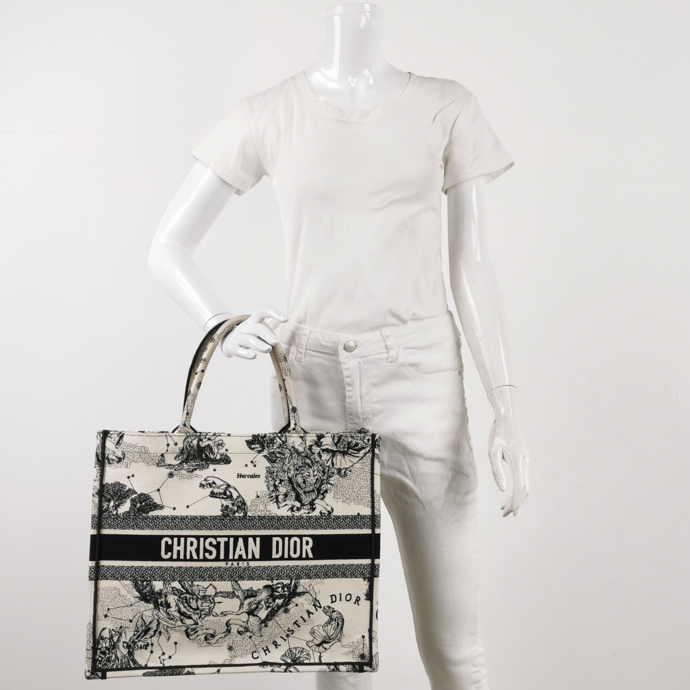 Dior Dior Women os Tote Bags Size ONE SIZE - 2 Thumbnail